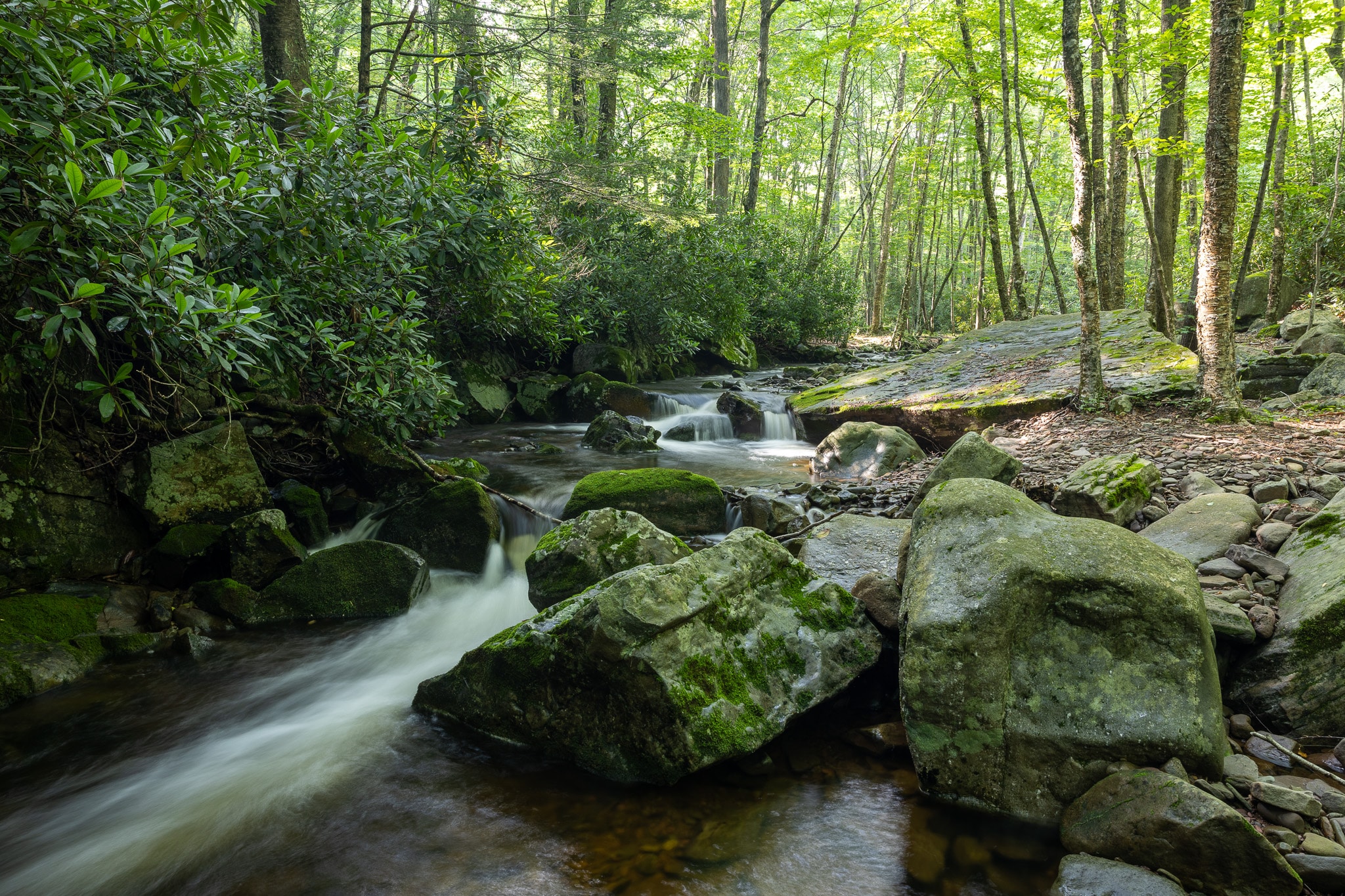 PA State Game Lands 221 - Cresco, PA