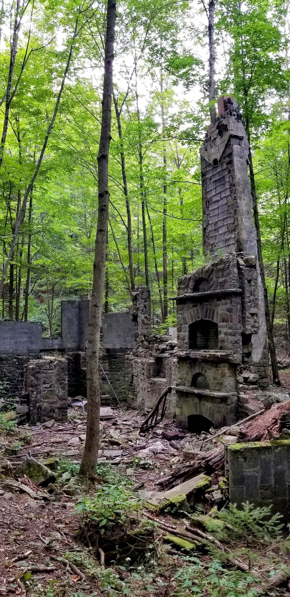 PA State Game Lands 221 - Cresco, PA