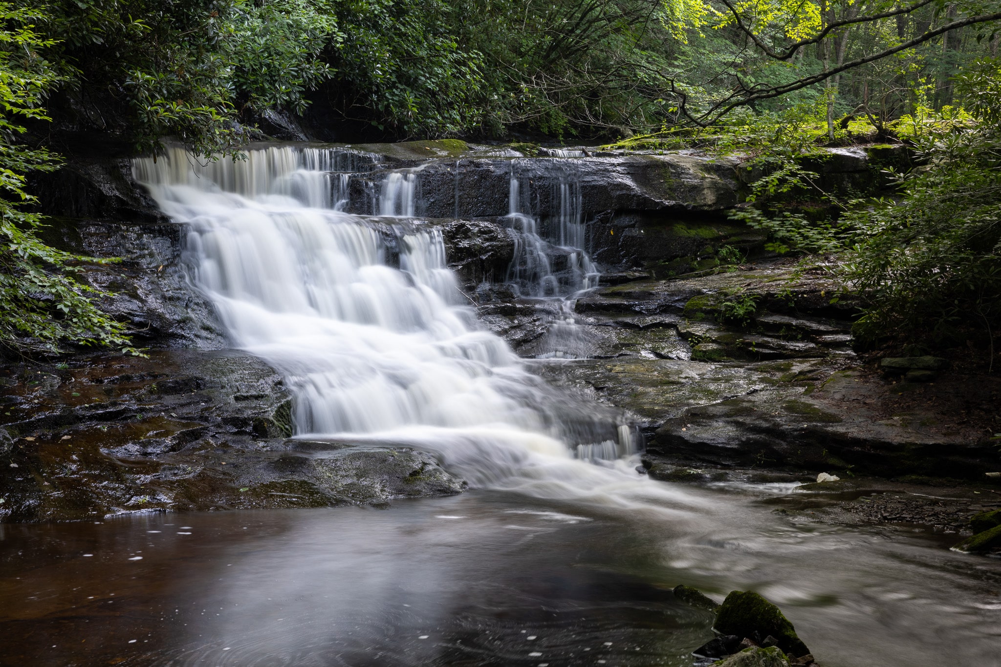 PA State Game Lands 221 - Cresco, PA