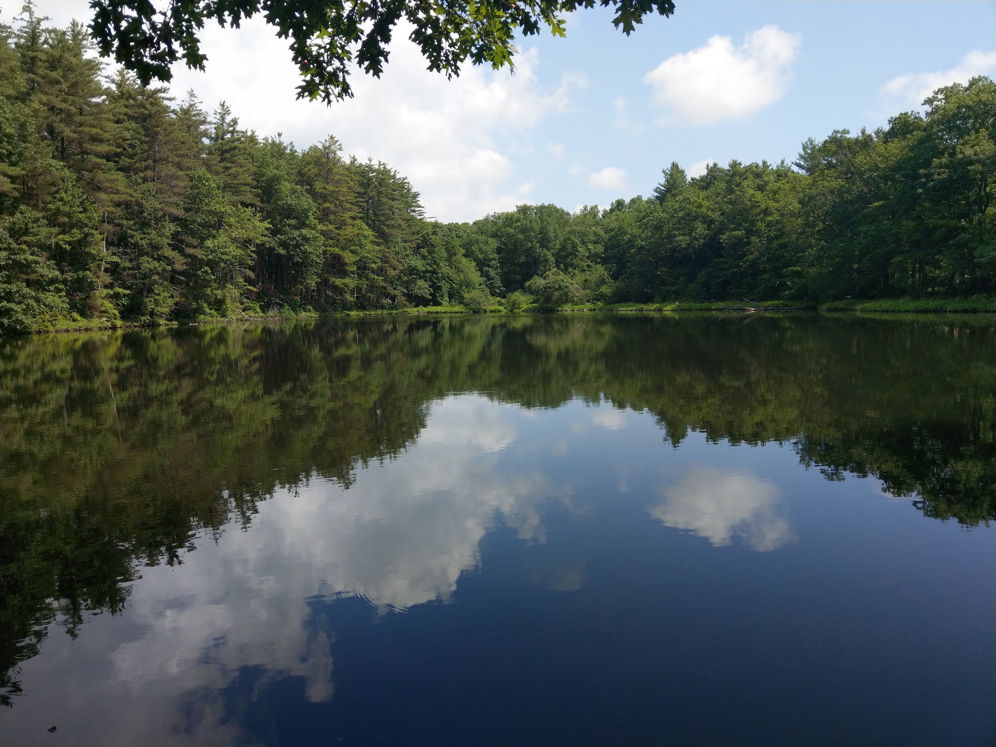 Seven Pines Park - Cresco, PA