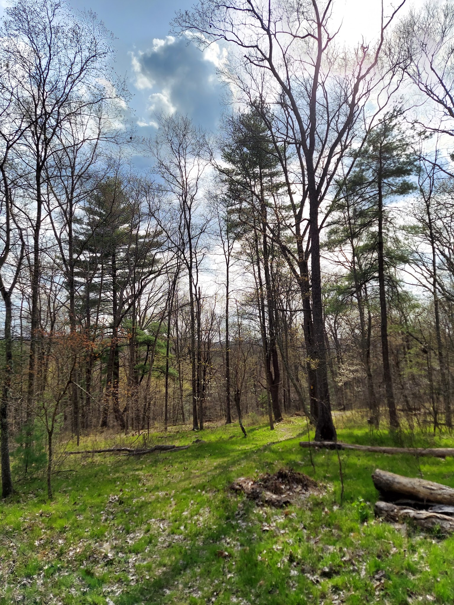 Swiftwater Forest Preserve - Cresco, PA