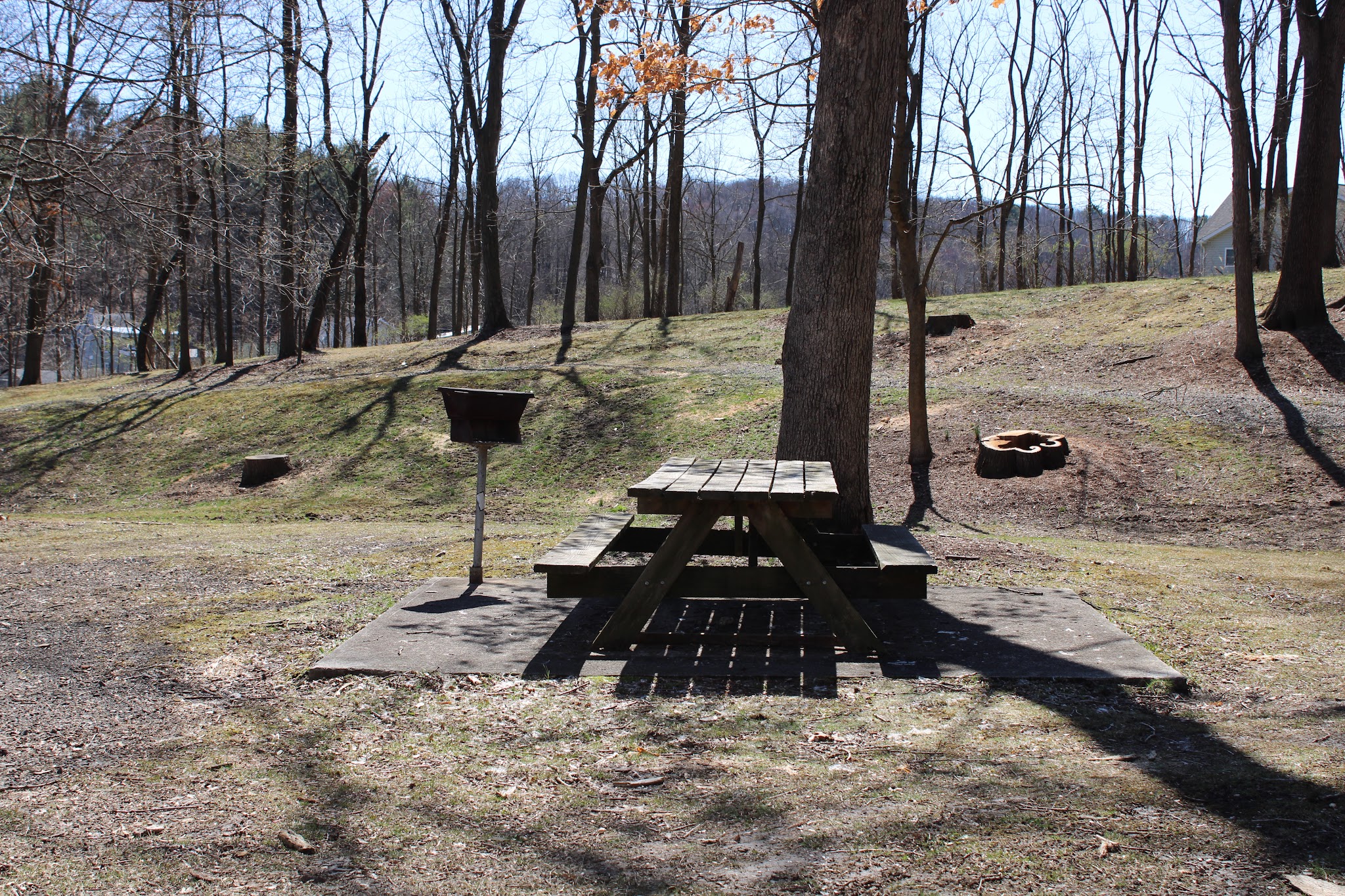 Cressona Picnic Grove - Cressona, PA