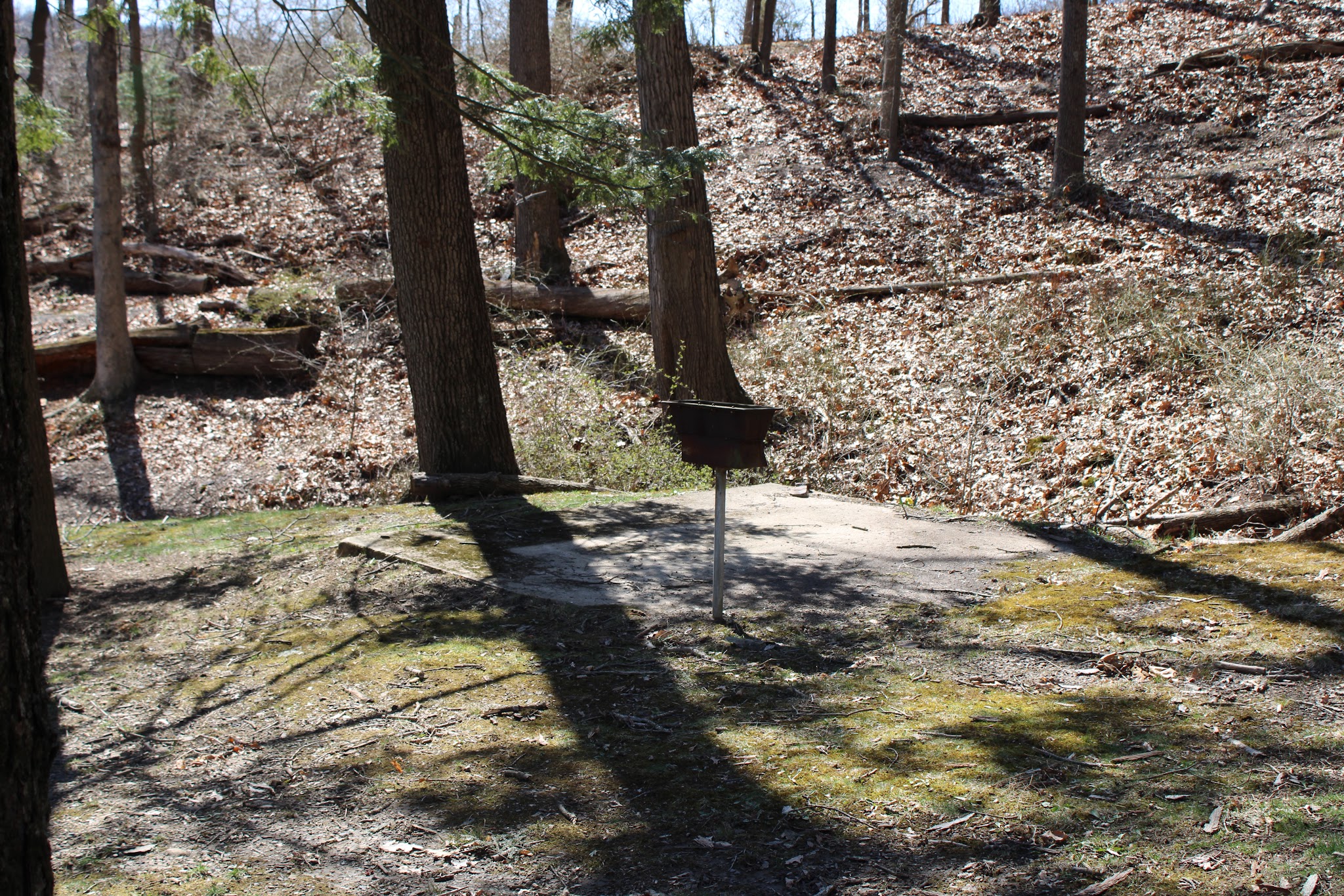 Cressona Picnic Grove - Cressona, PA