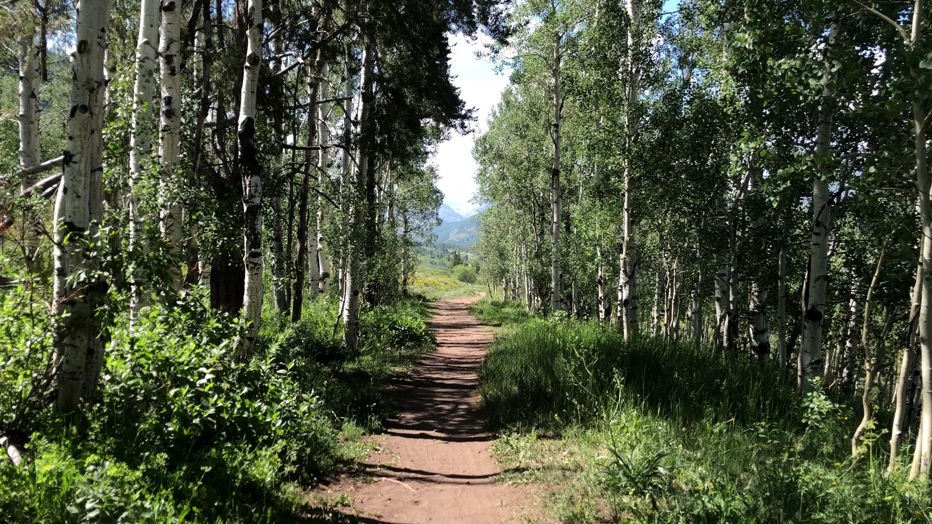 Rainbow Park - Crested Butte, CO