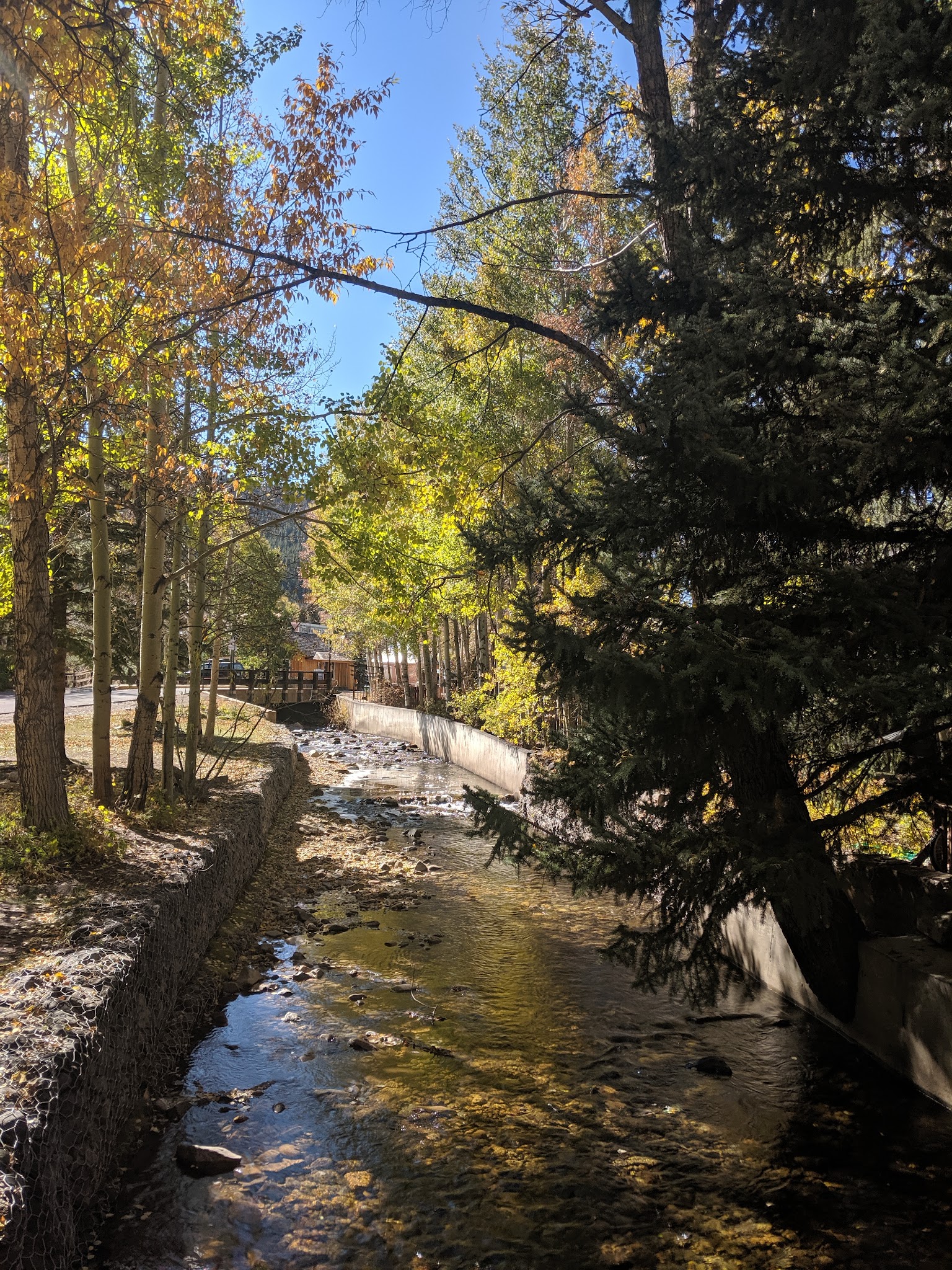 Totem Pole Park - Crested Butte, CO