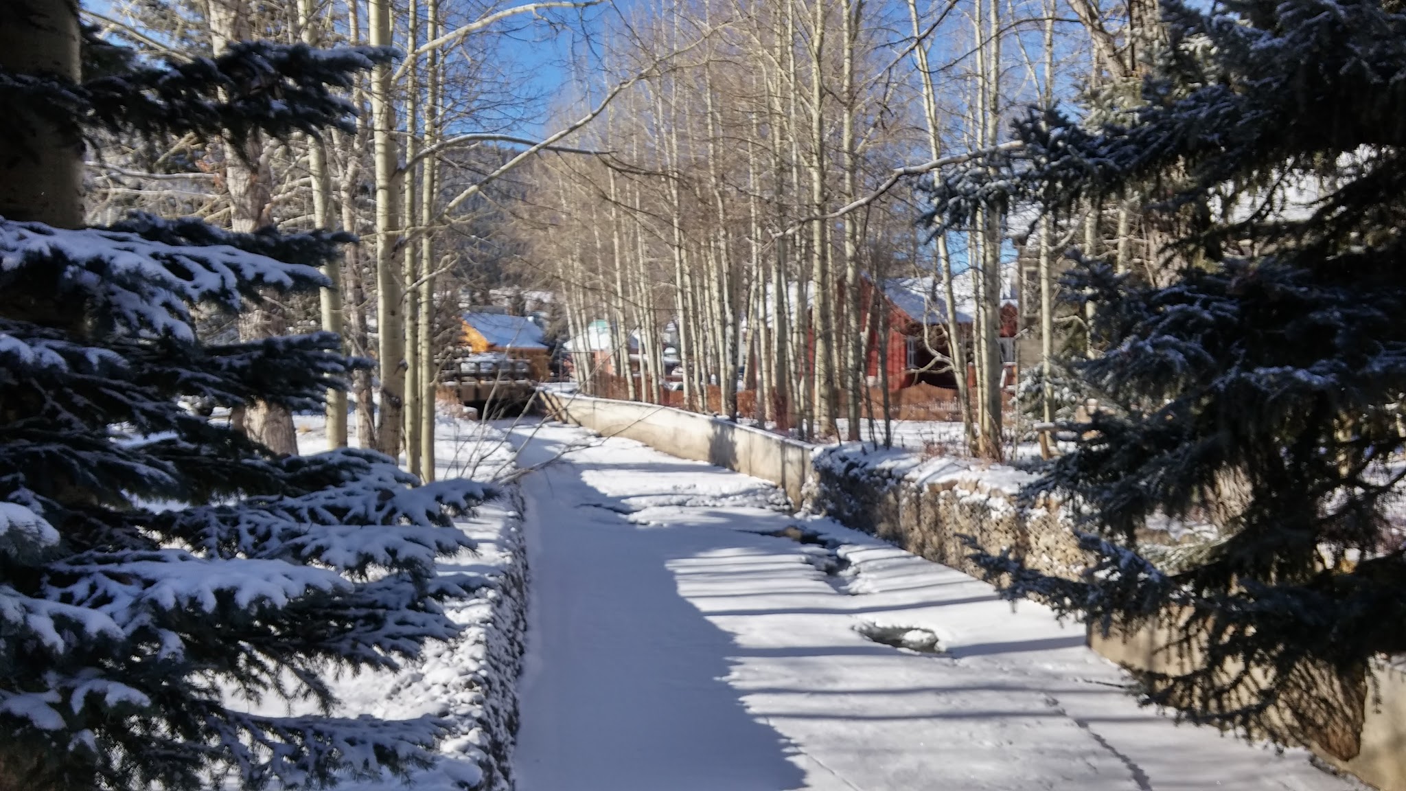 Totem Pole Park - Crested Butte, CO