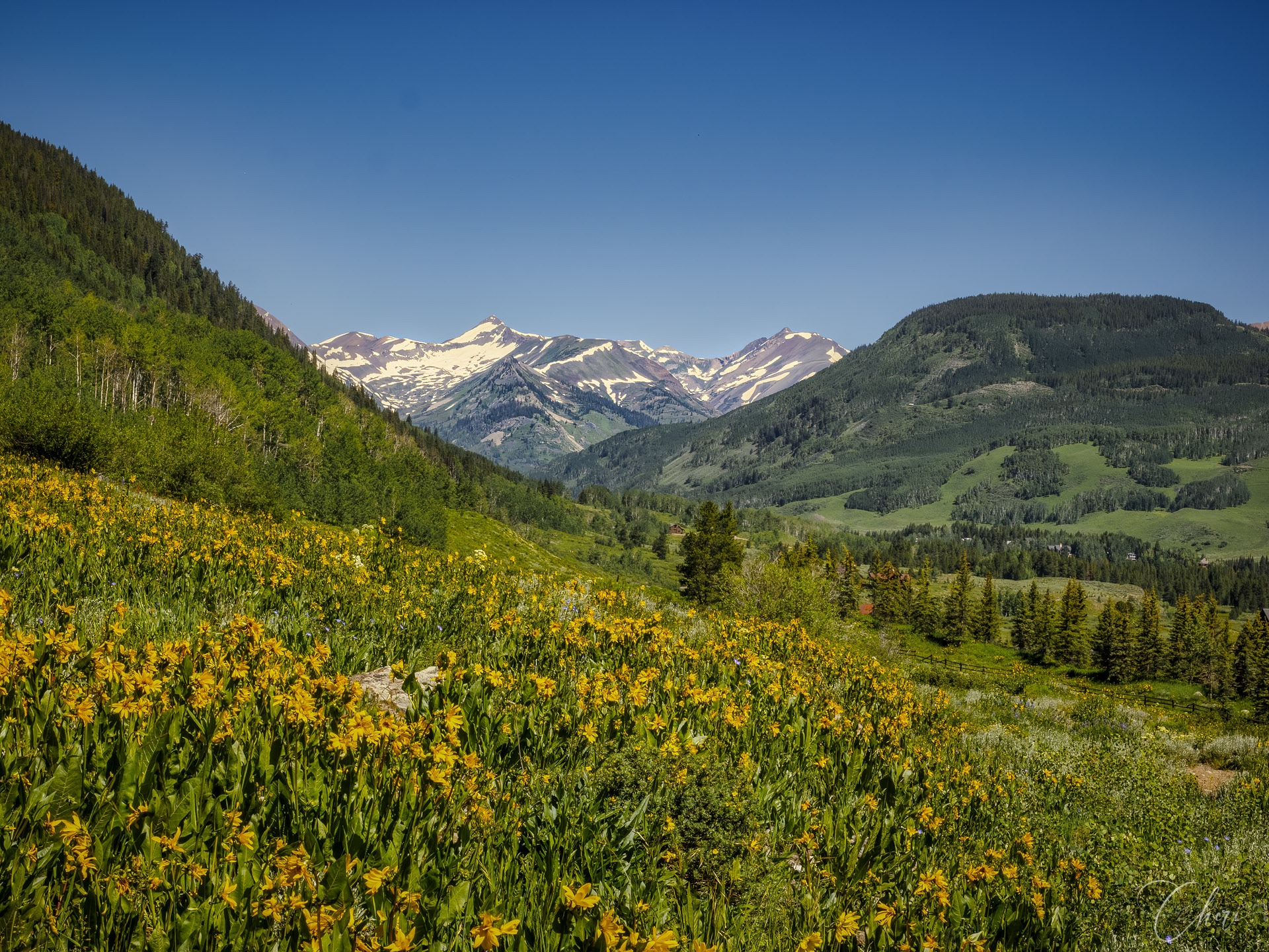 Woods Walk Trail Head - Crested Butte, CO