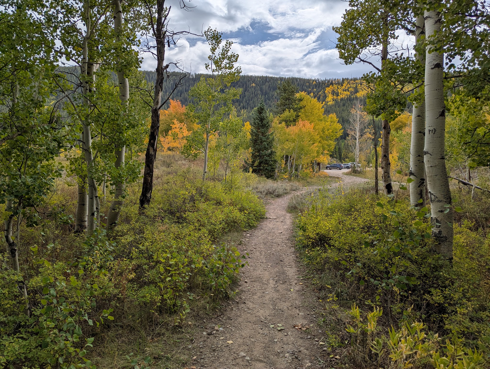Woods Walk Trail Head - Crested Butte, CO