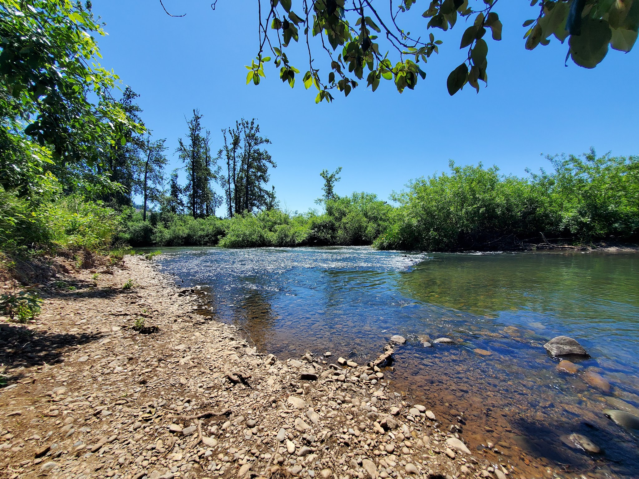 Lynx Hollow Park - Creswell, OR