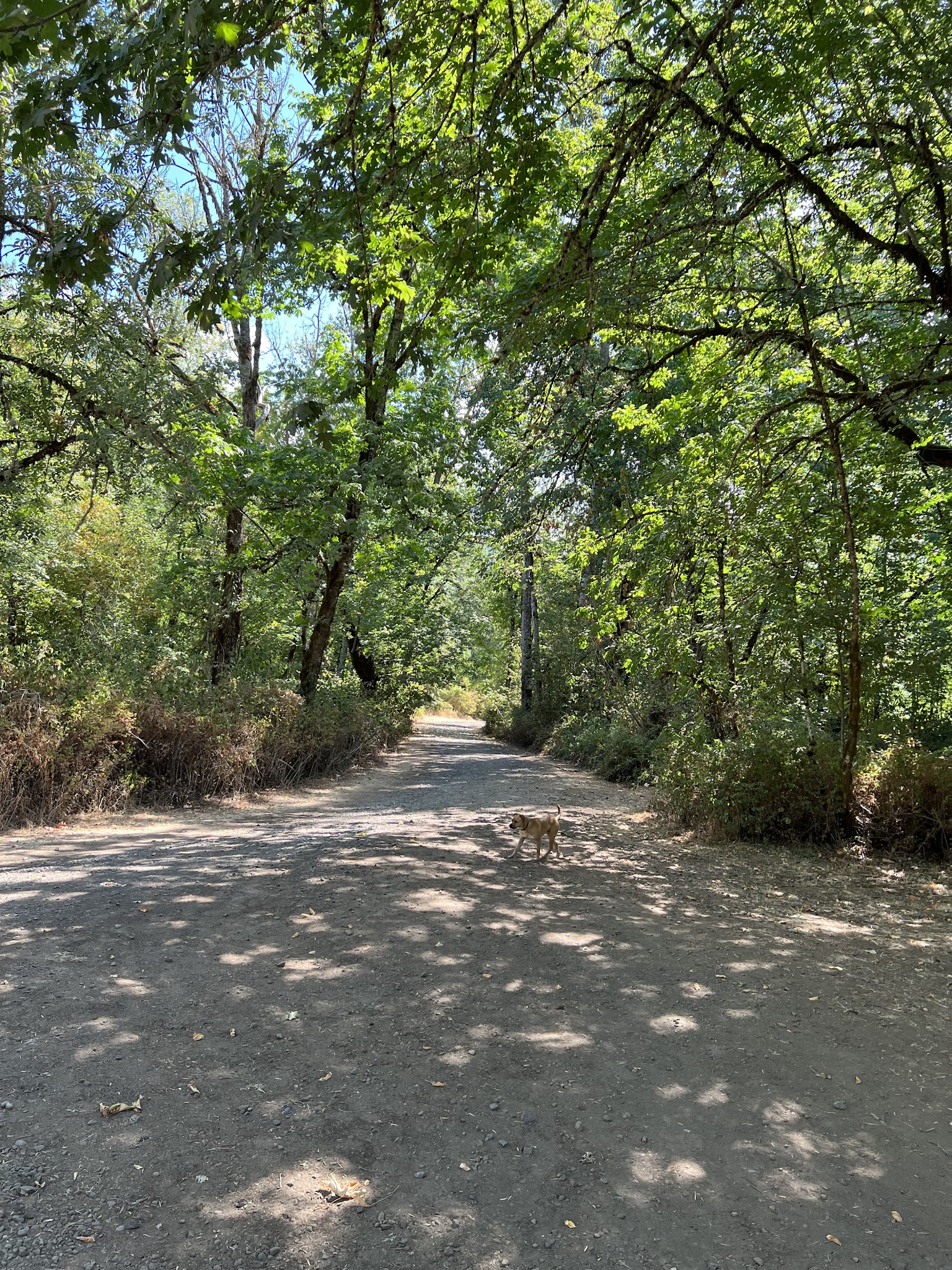 Lynx Hollow Park - Creswell, OR