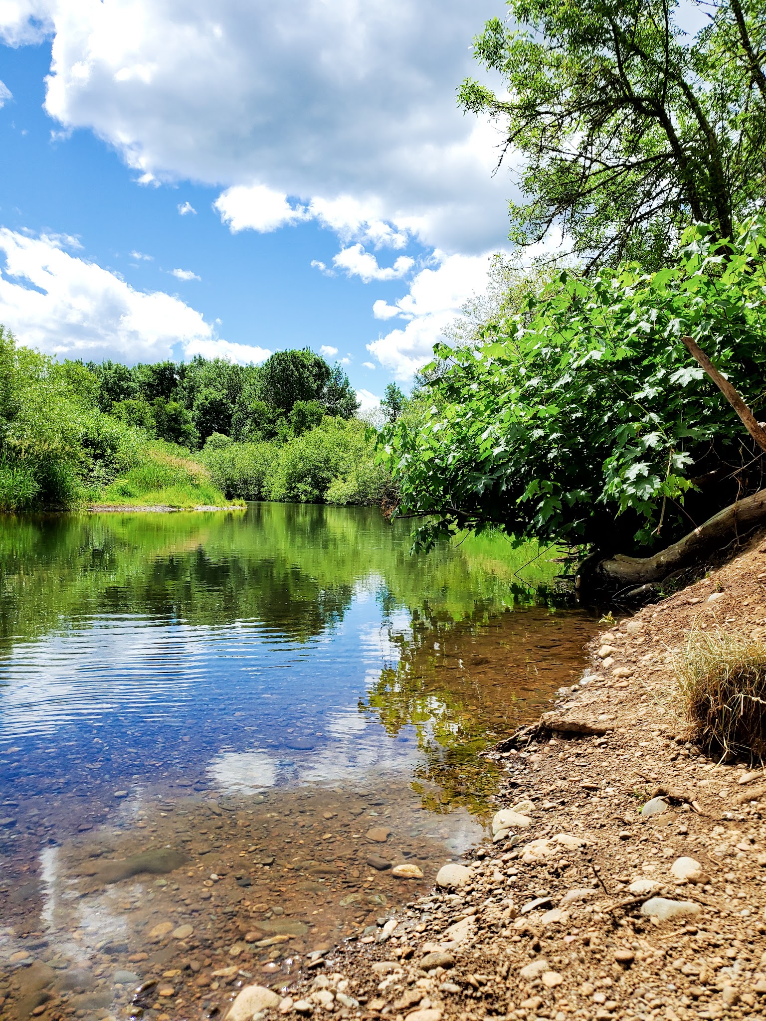 Lynx Hollow Park - Creswell, OR