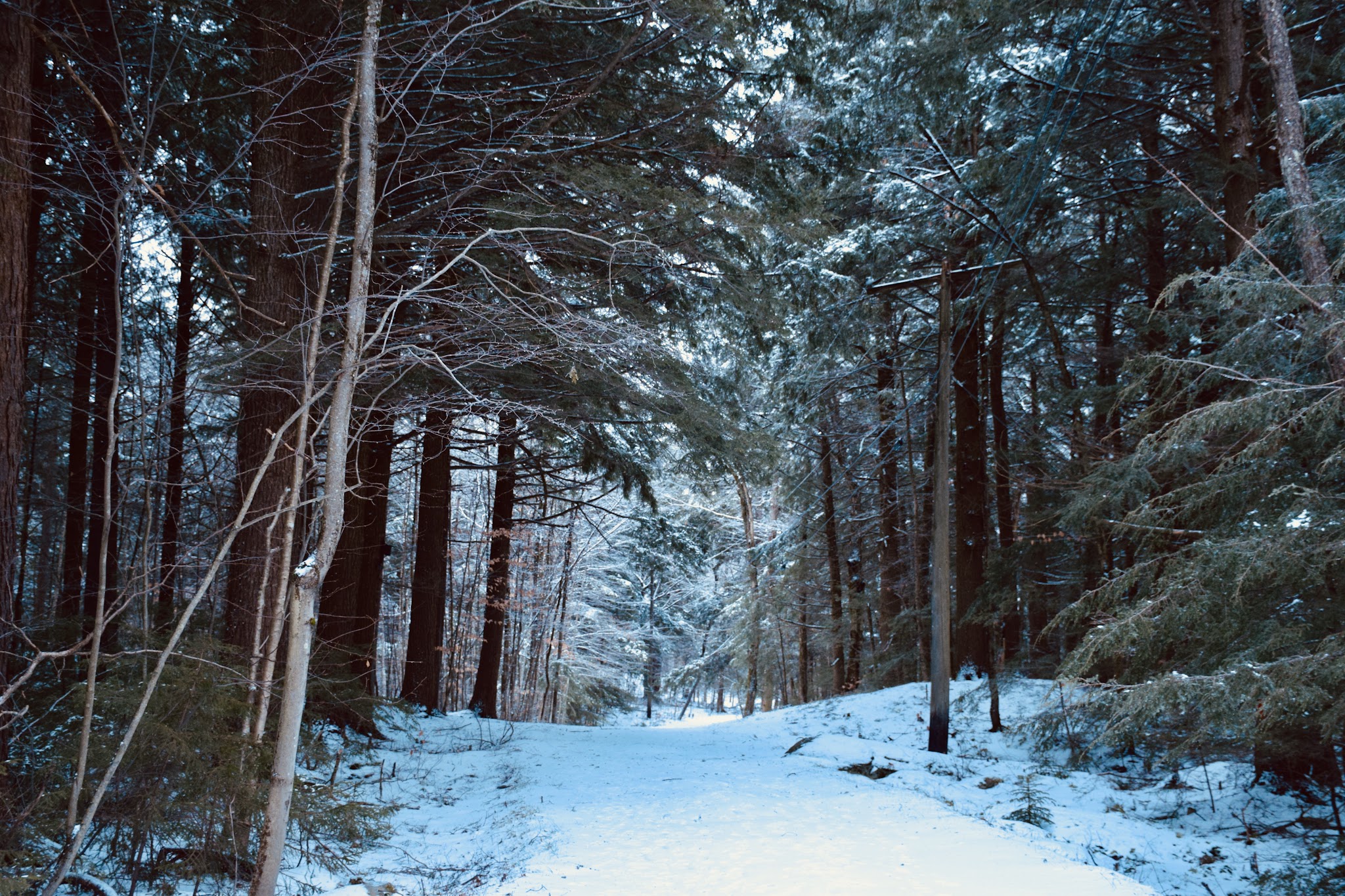 Dyken Pond Environmental Center - Cropseyville, NY