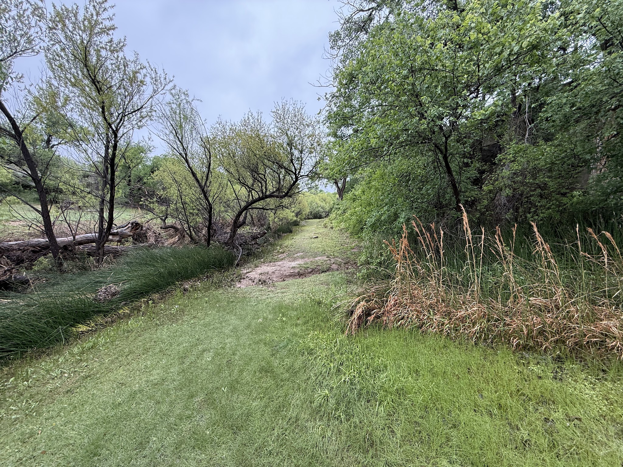 Silver Falls Park ( historic site) - Crosbyton, TX