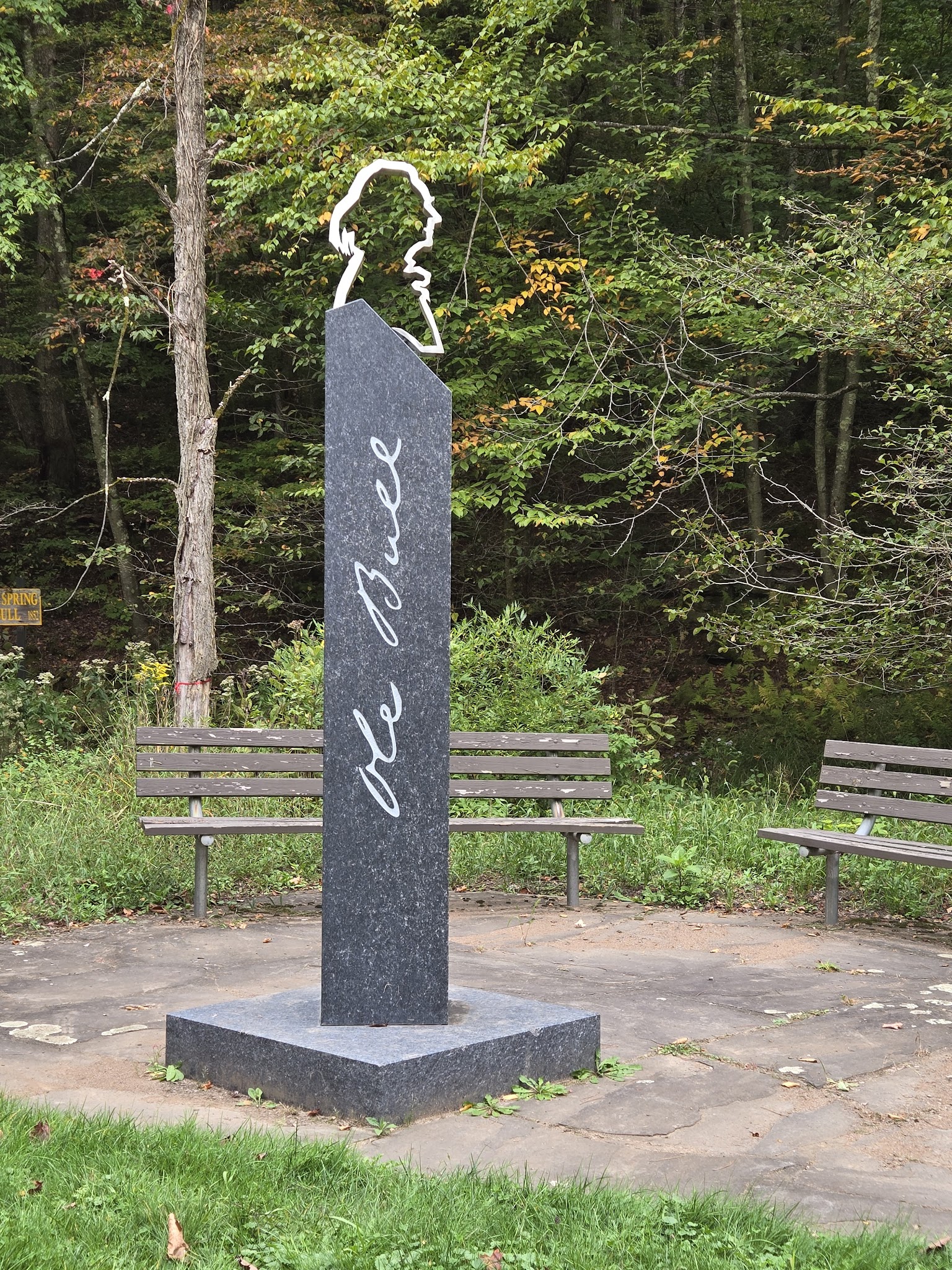 Ole Bull State Park - Cross Fork, PA