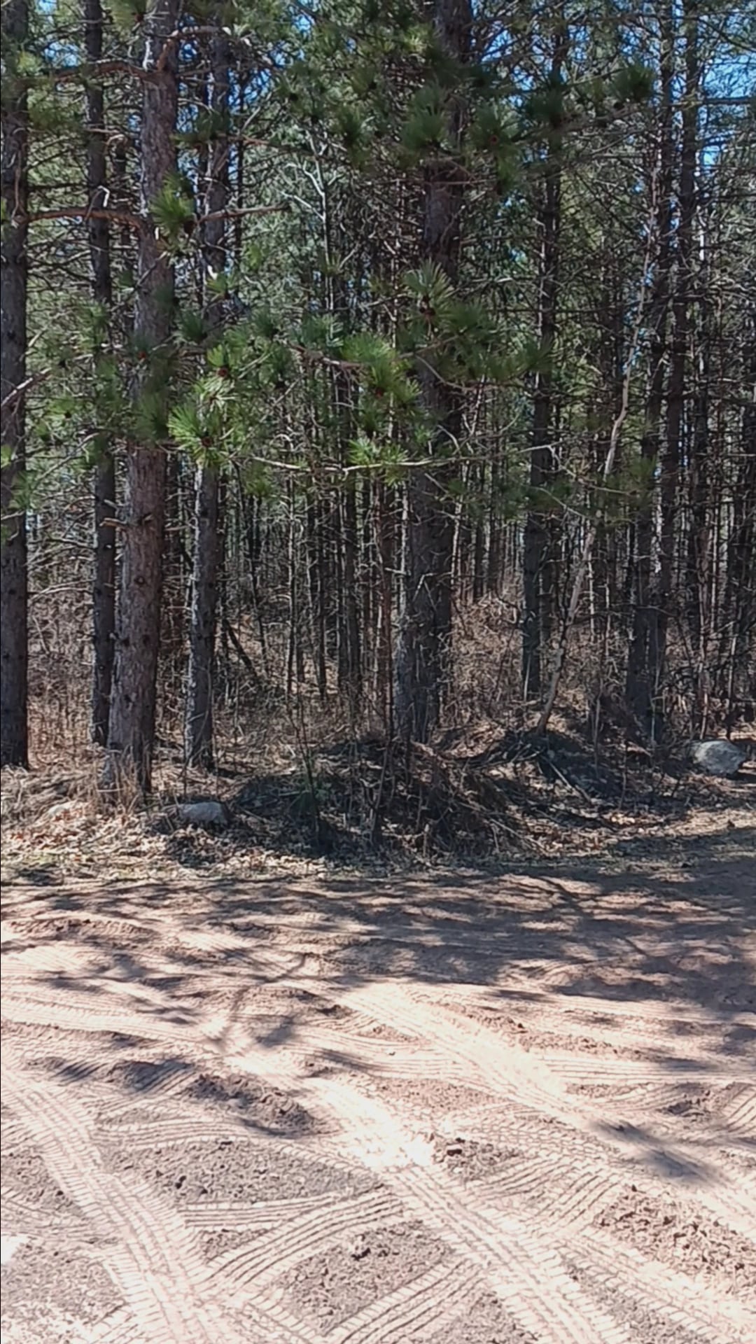 Scrub Oak Trail - Crosslake, MN