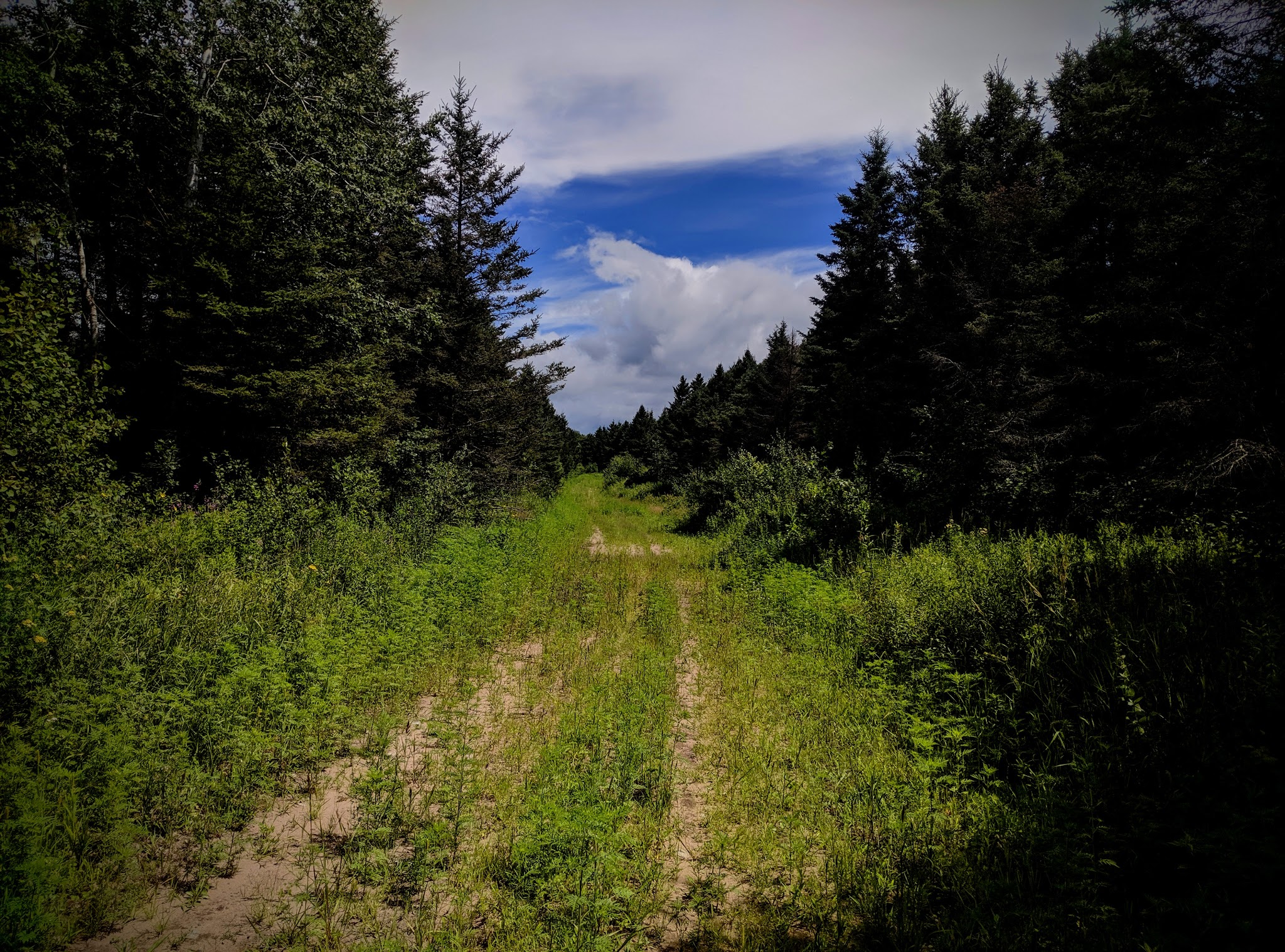 Scrub Oak Trail - Crosslake, MN