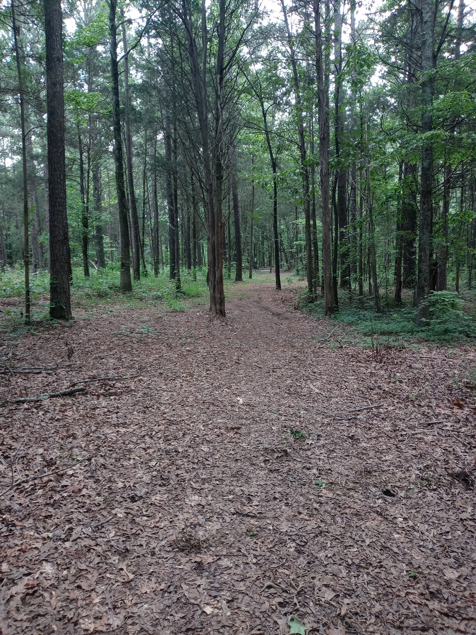 Crump Park - Crump, TN