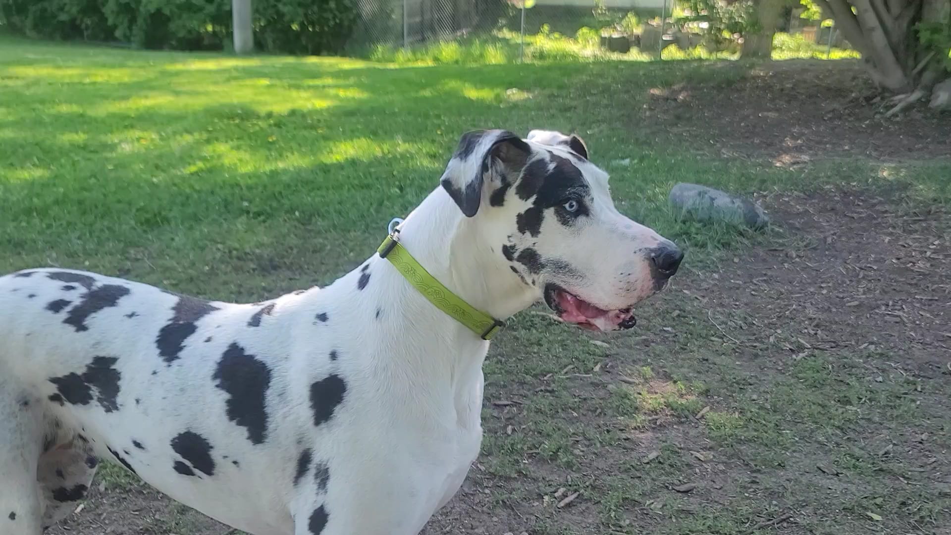 Bassett Creek Dog Park - Crystal, MN