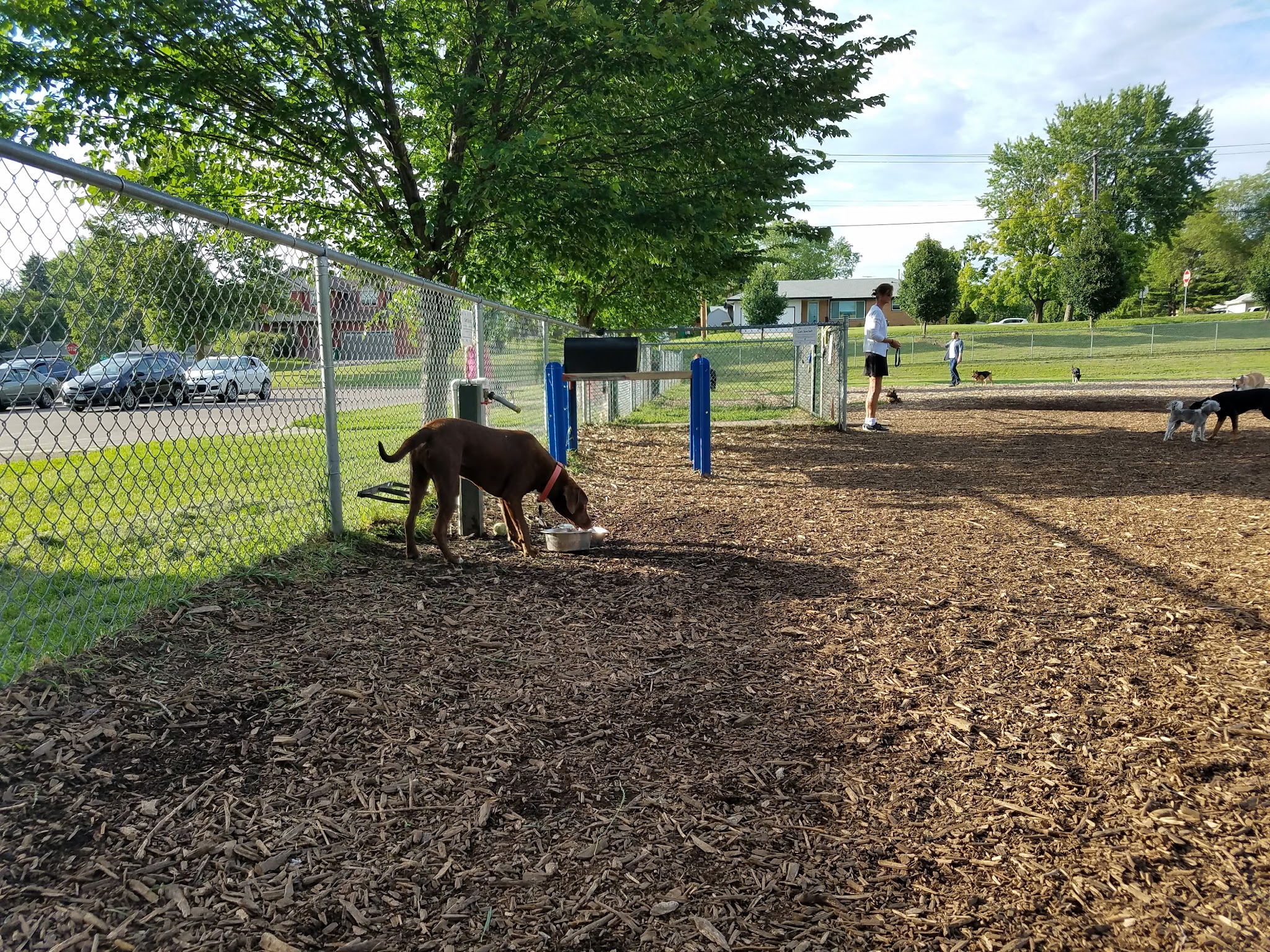 Bassett Creek Dog Park - Crystal, MN
