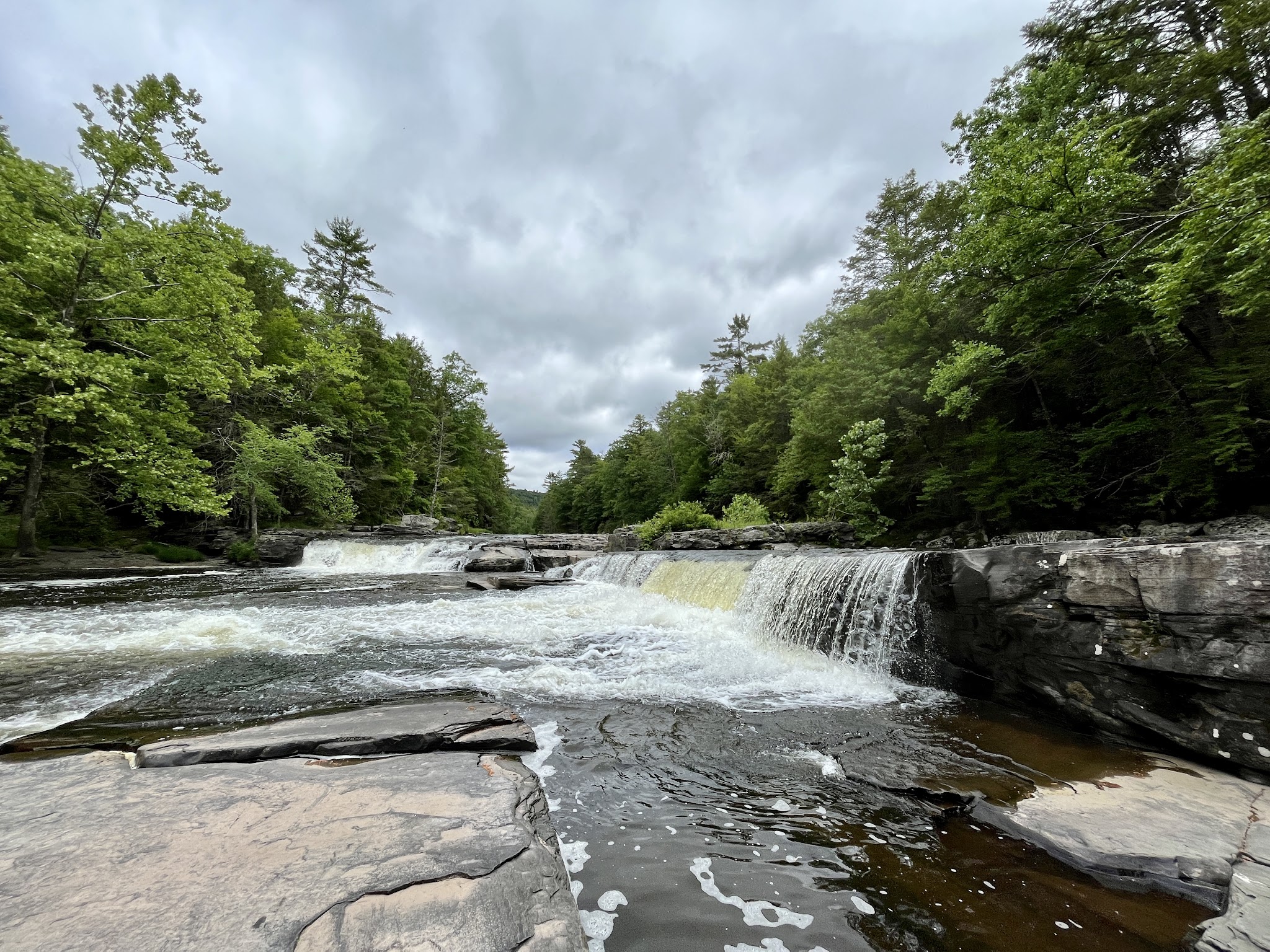 Neversink River Unique Area - Cuddebackville, NY