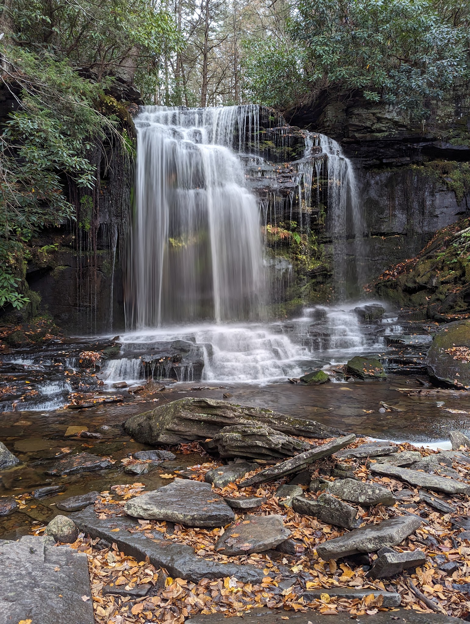 Neversink River Unique Area - Cuddebackville, NY