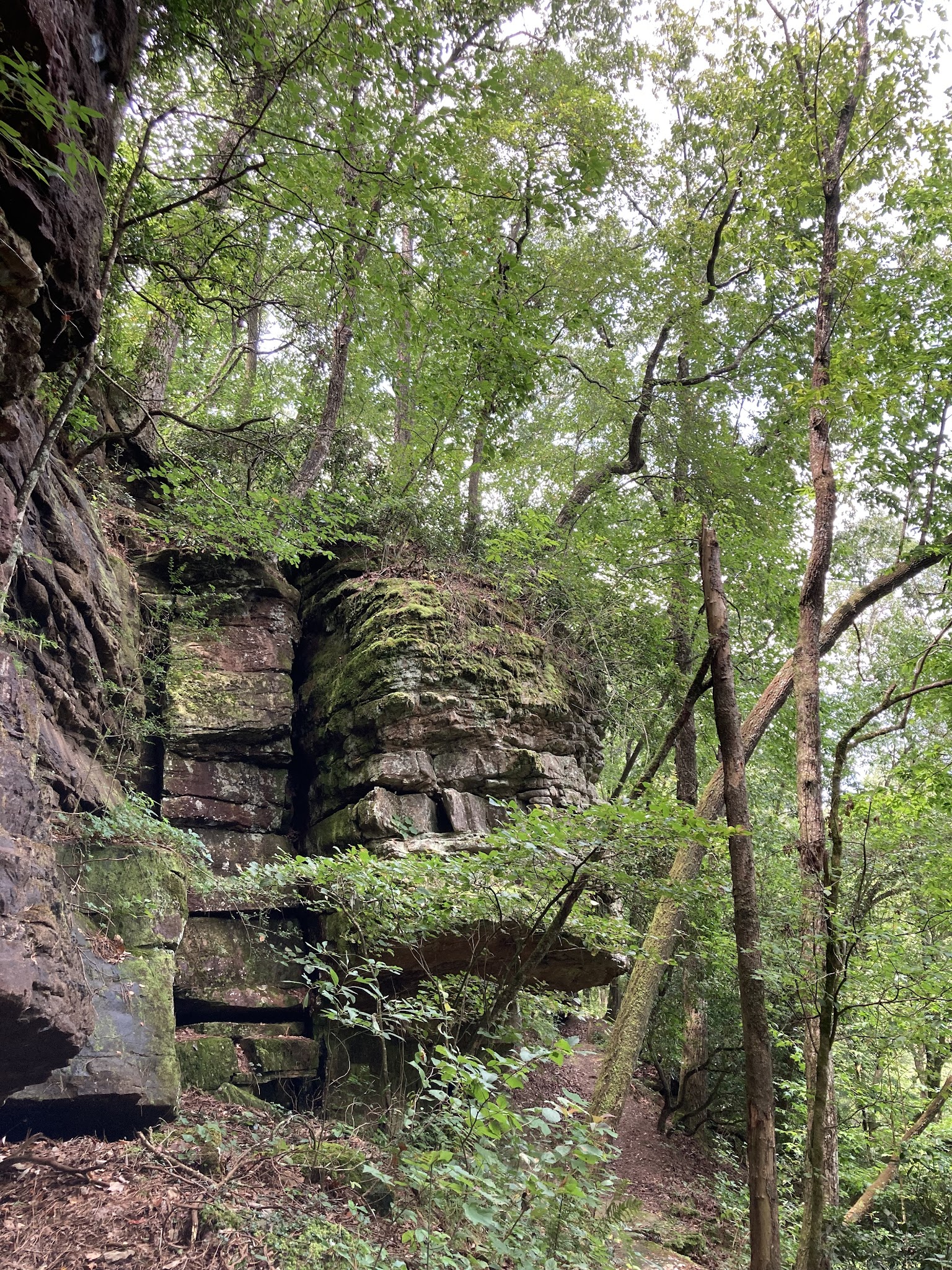 Duck River West Trail and Boat Ramp - Cullman, AL