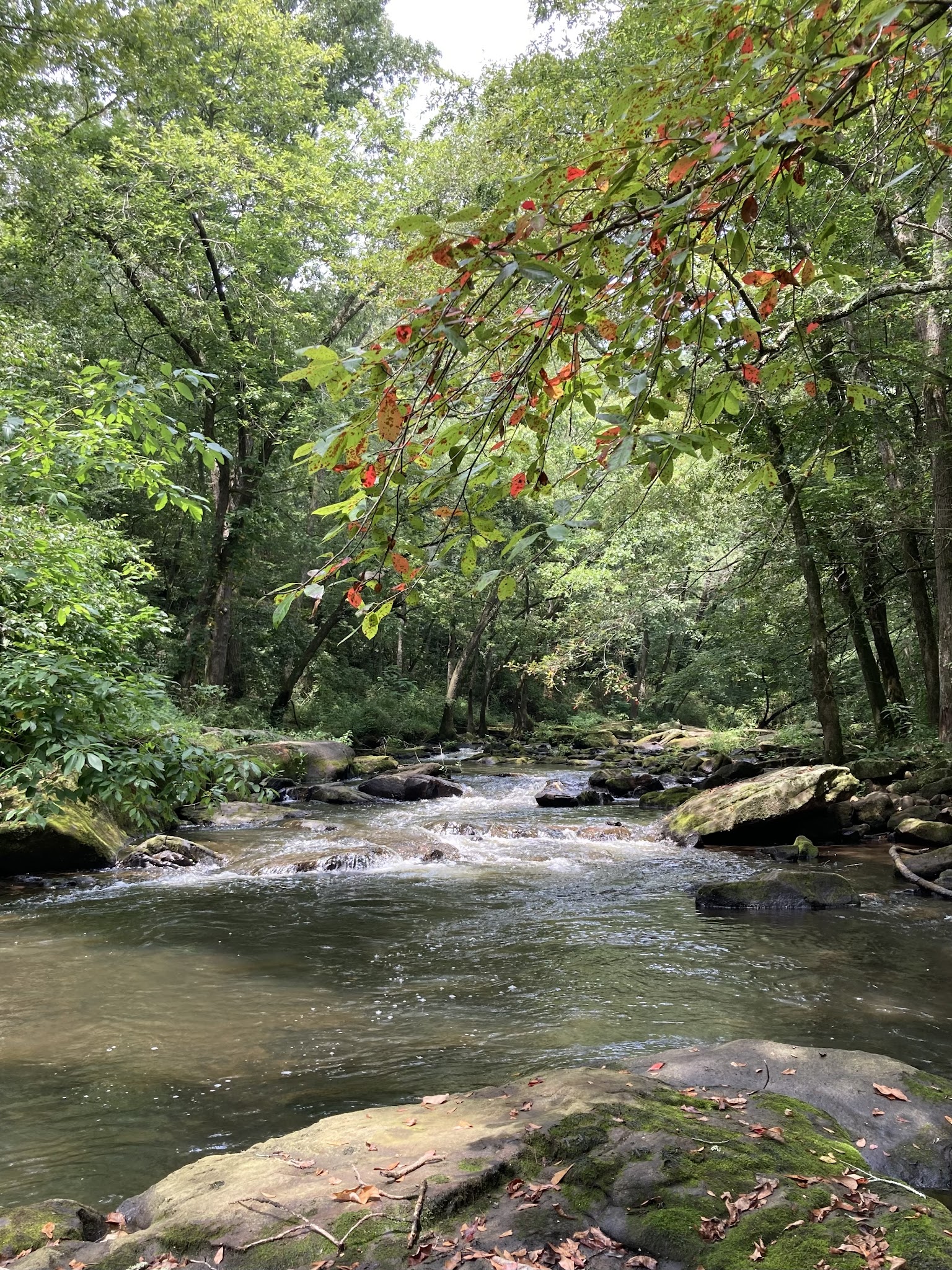 Duck River West Trail and Boat Ramp - Cullman, AL