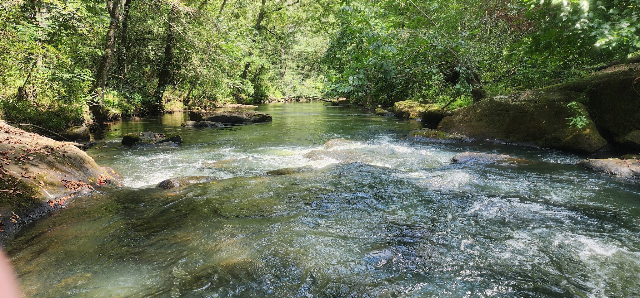 Duck River West Trail and Boat Ramp - Cullman, AL