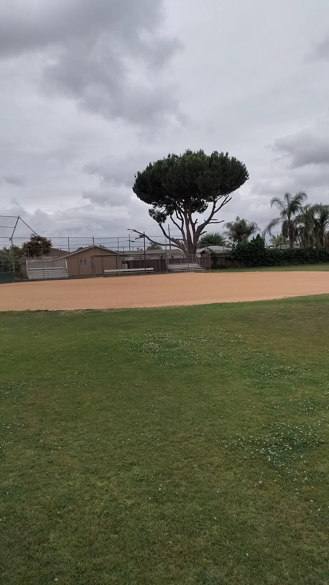 Arnold Cypress Park - Cypress, CA