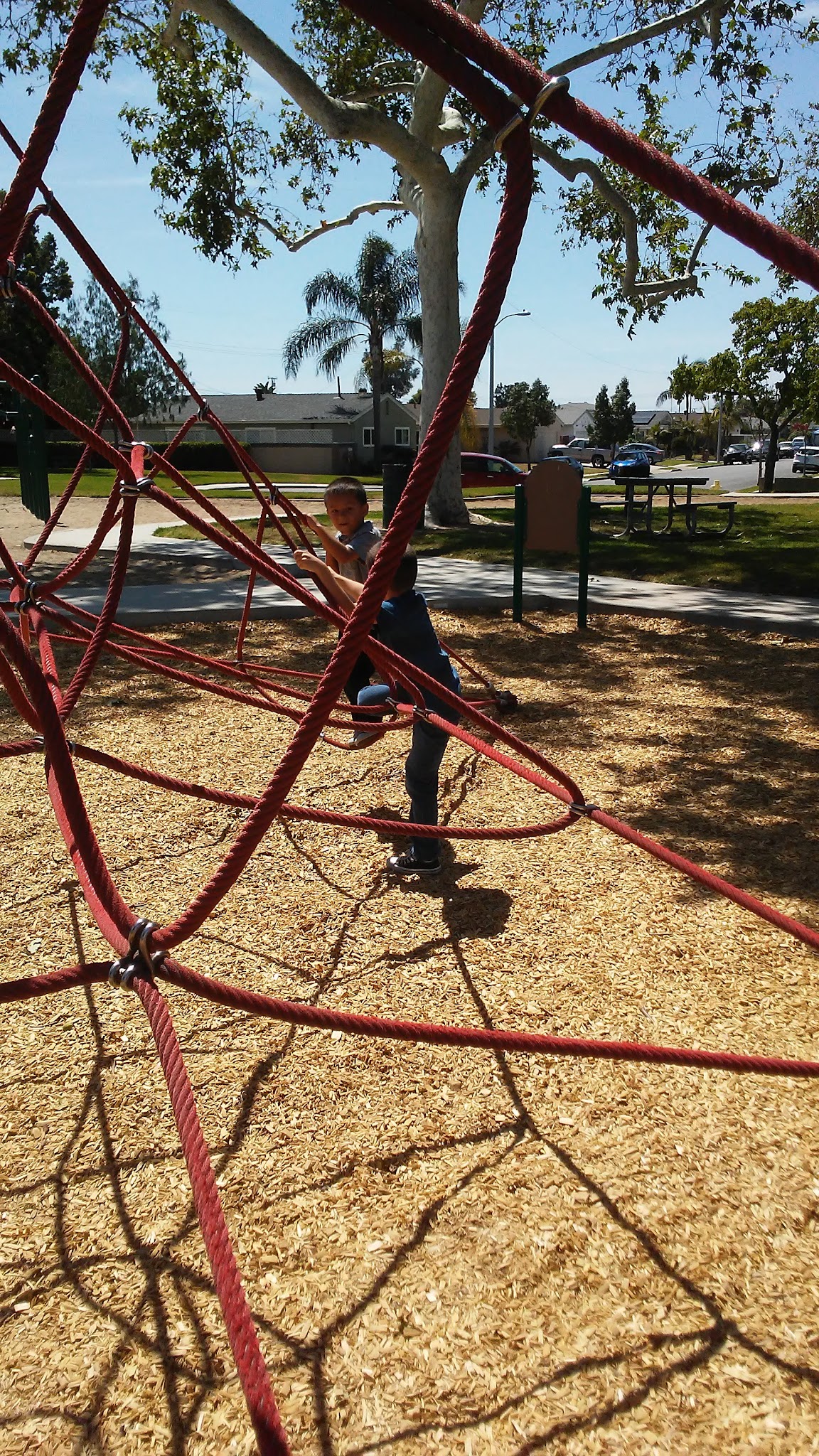 Cedar Glen Park - Cypress, CA