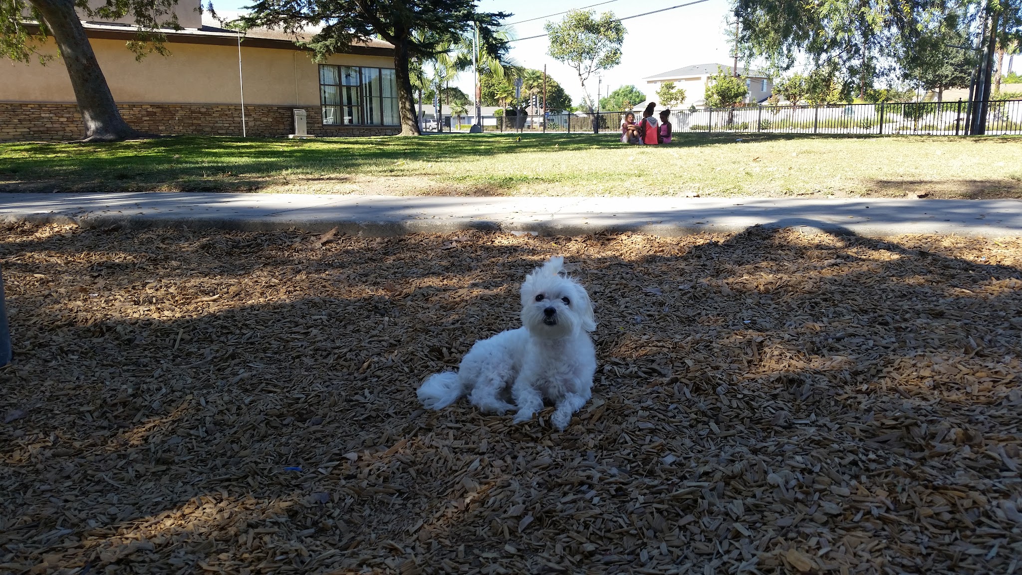 Cedar Glen Park - Cypress, CA