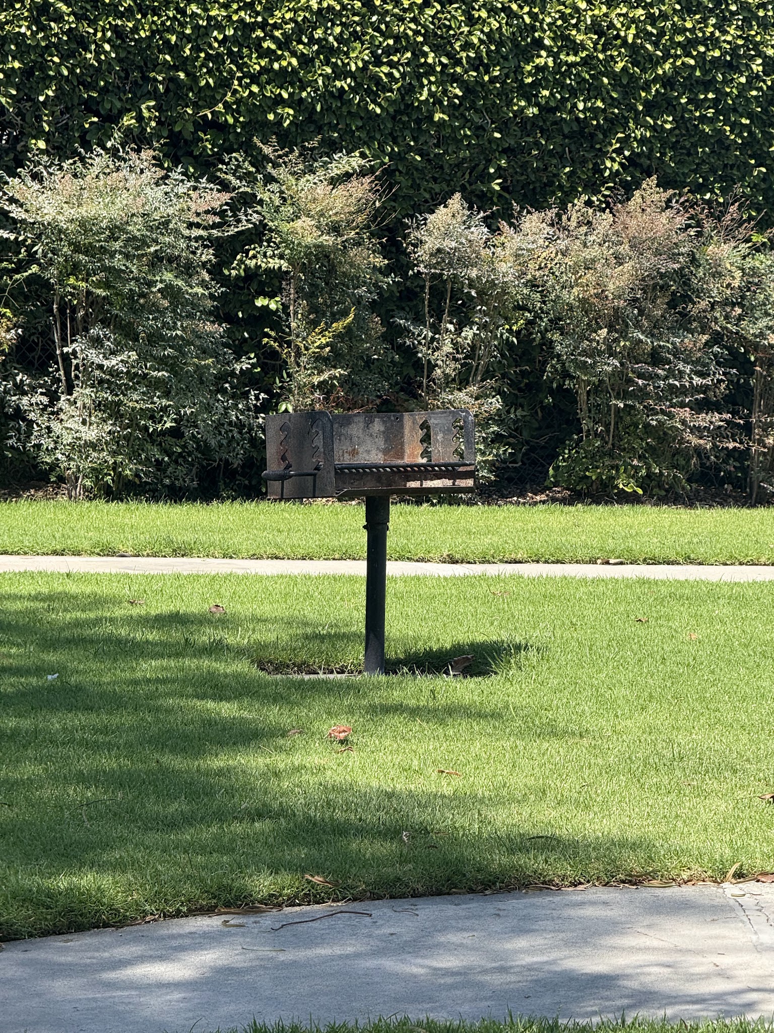 Rosen Acacia Park - Cypress, CA