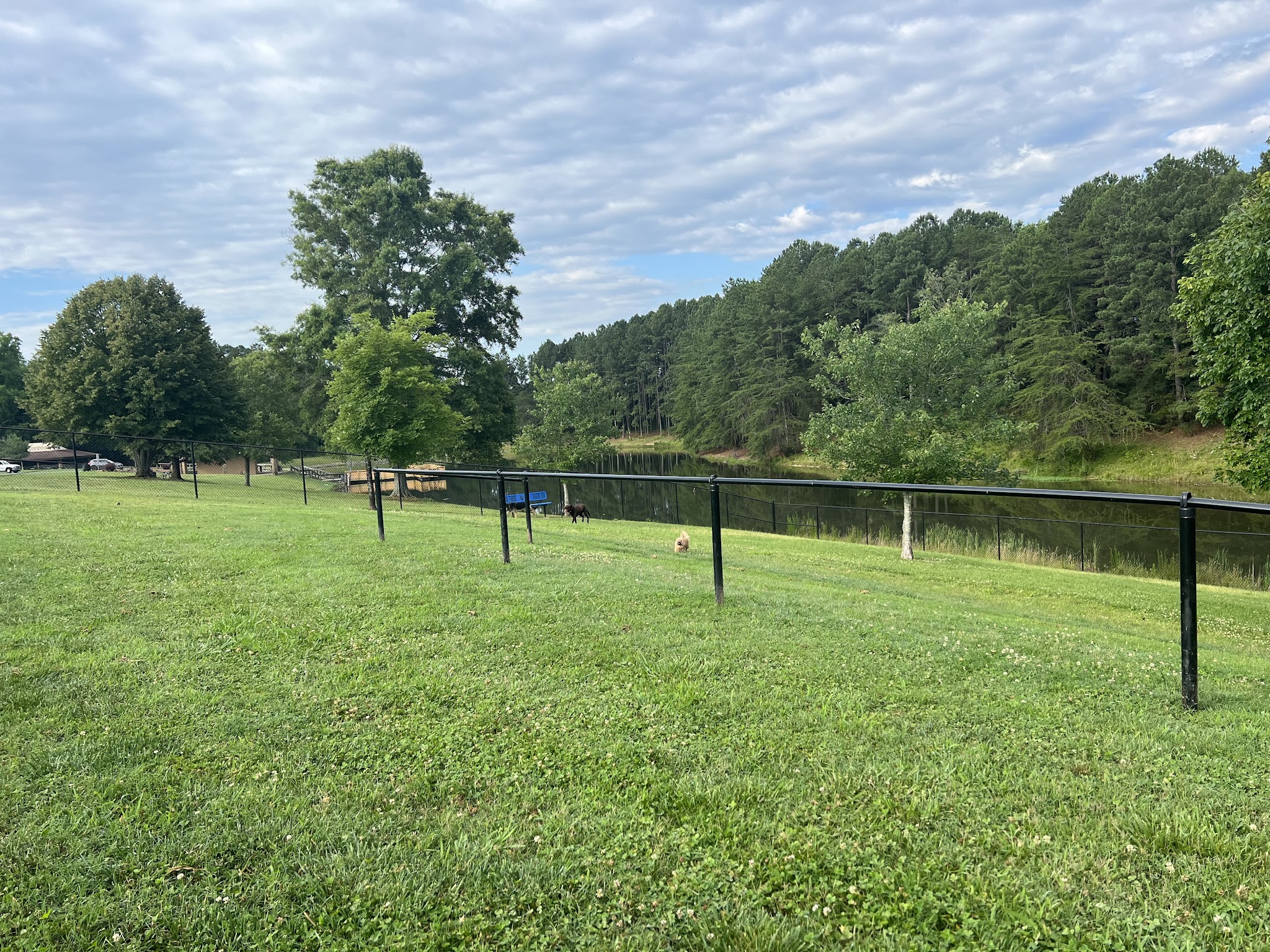 Dallas Park - Dallas, NC