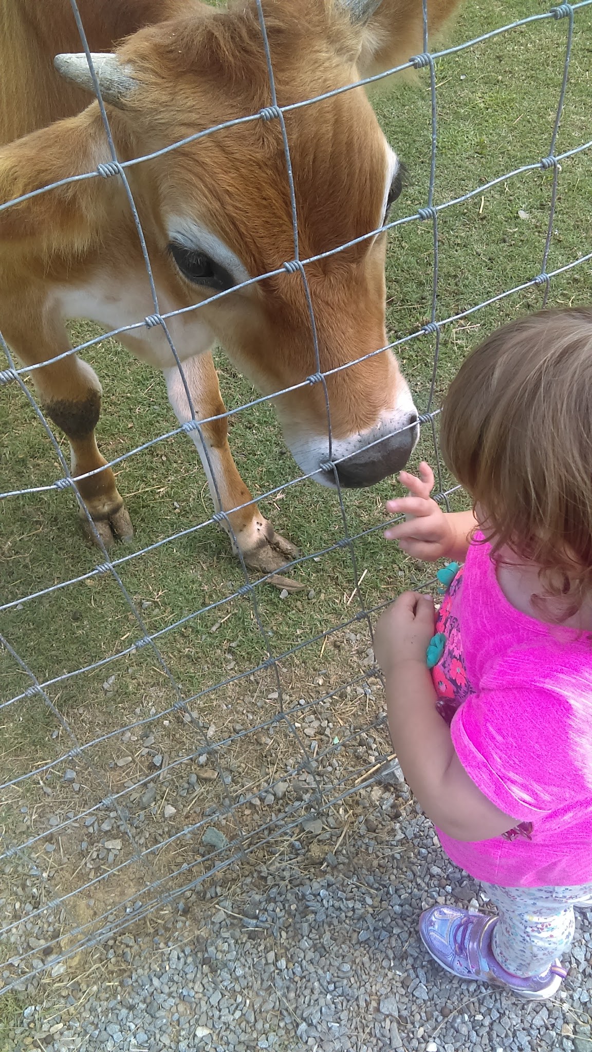 Jagger Park - Dallas, NC