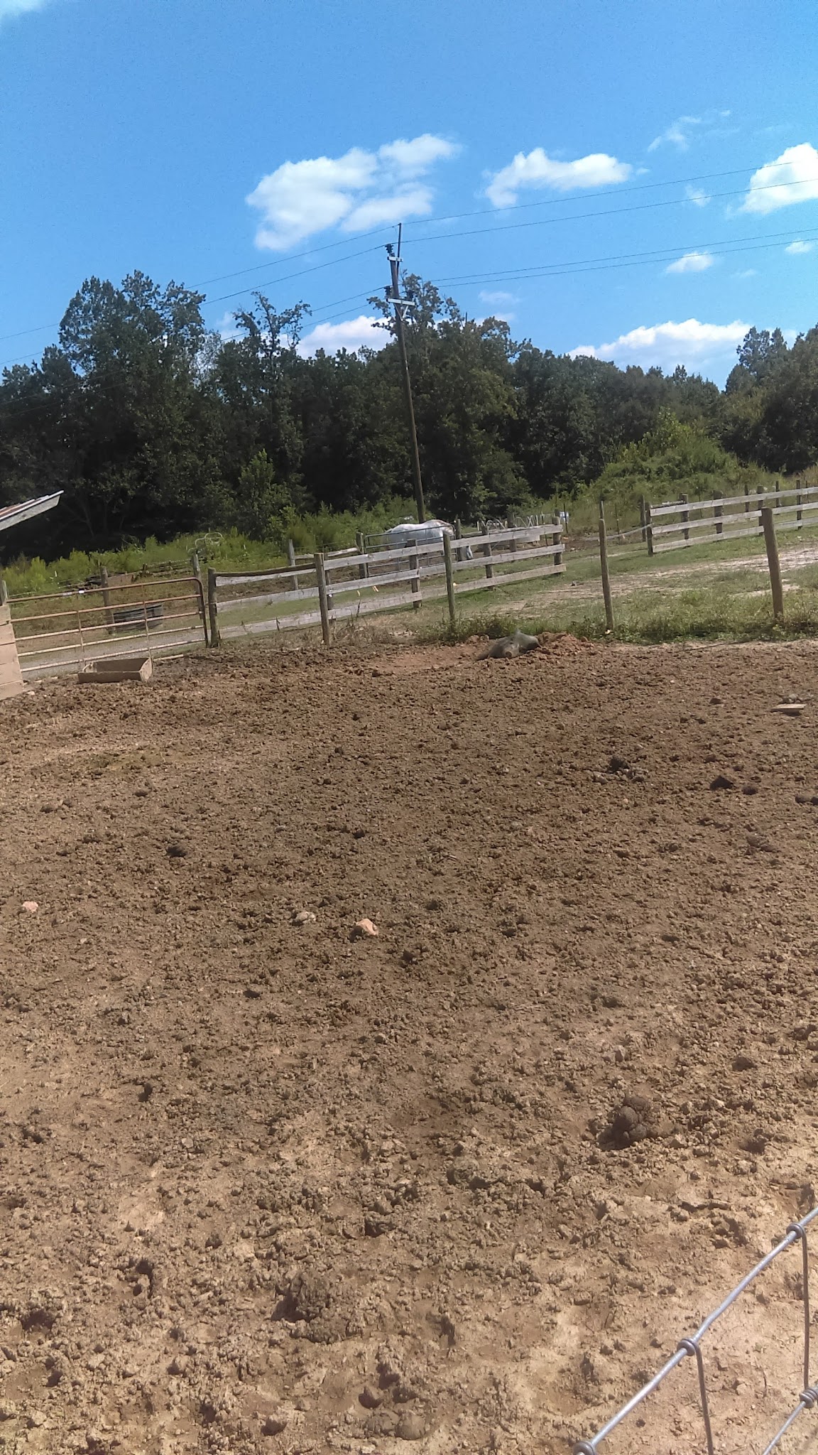 Jagger Park - Dallas, NC