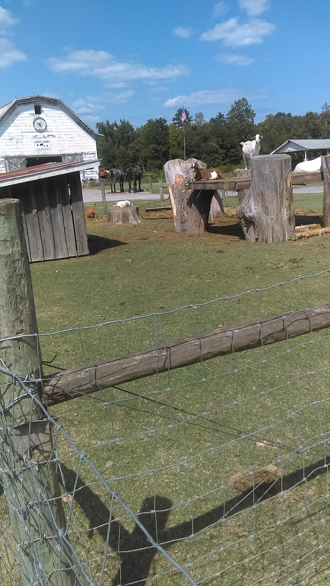 Jagger Park - Dallas, NC