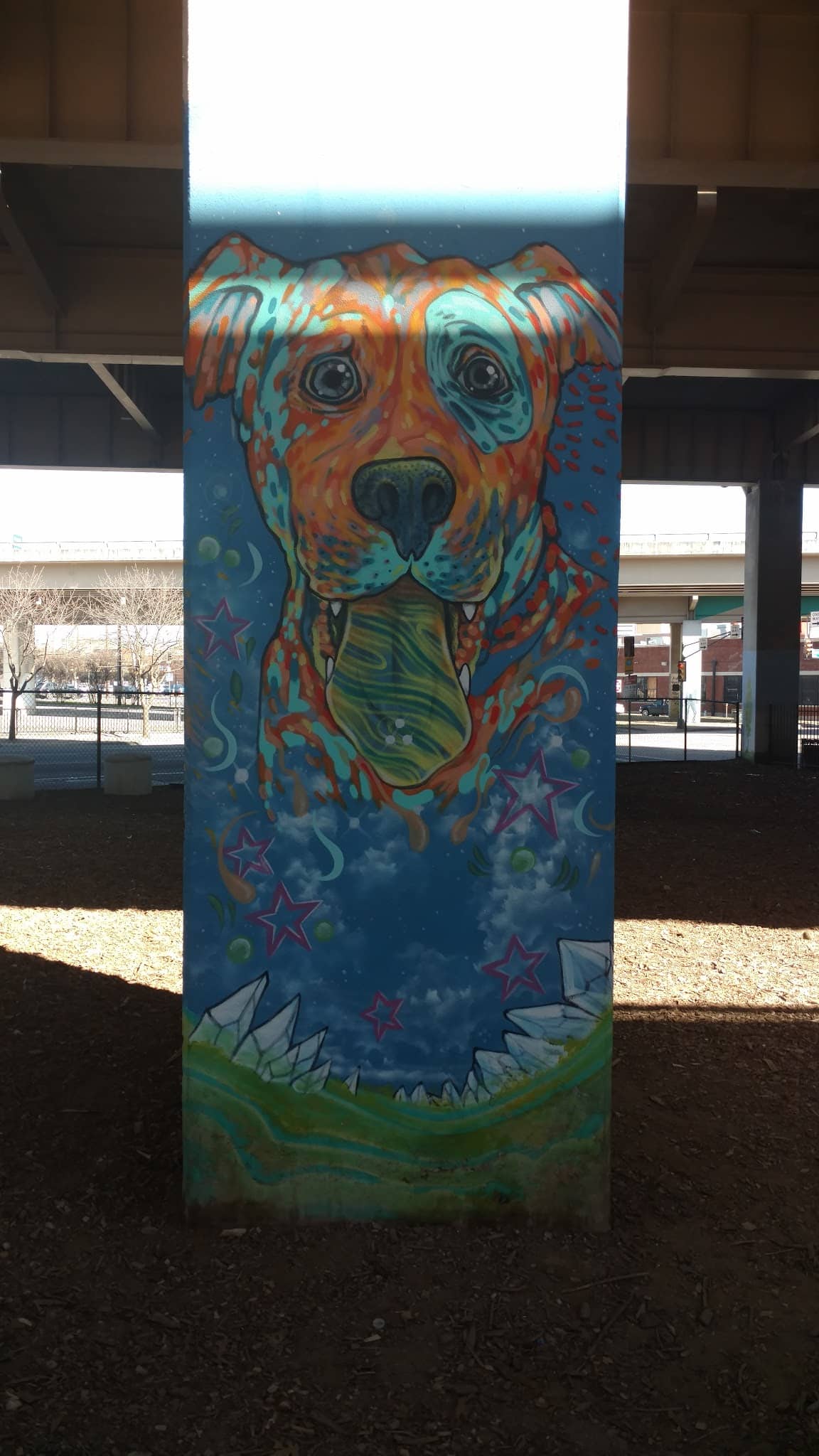 Bark Park Central - Dallas, TX