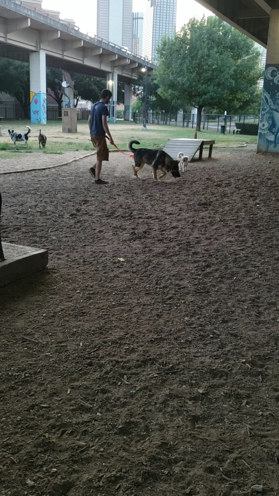 Bark Park Central - Dallas, TX