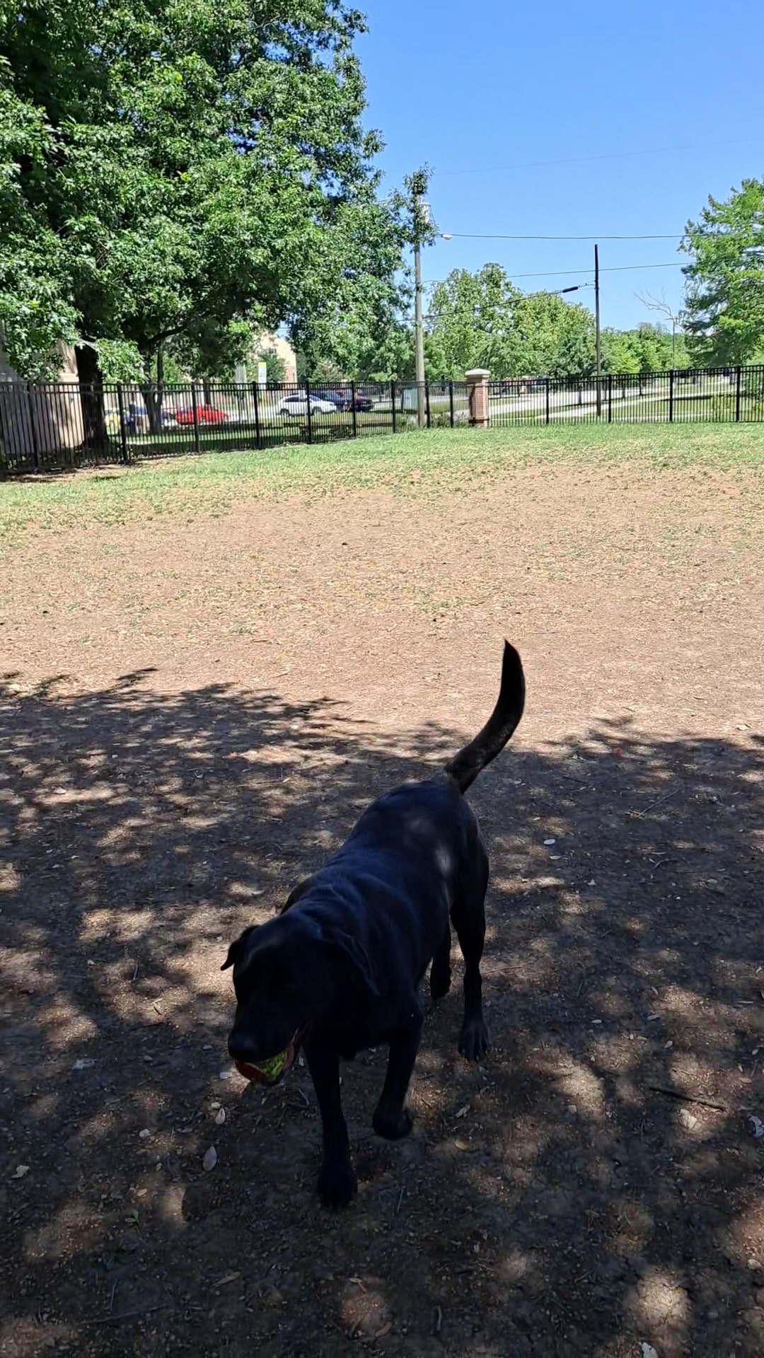 Crockett Dog Park - Dallas, TX