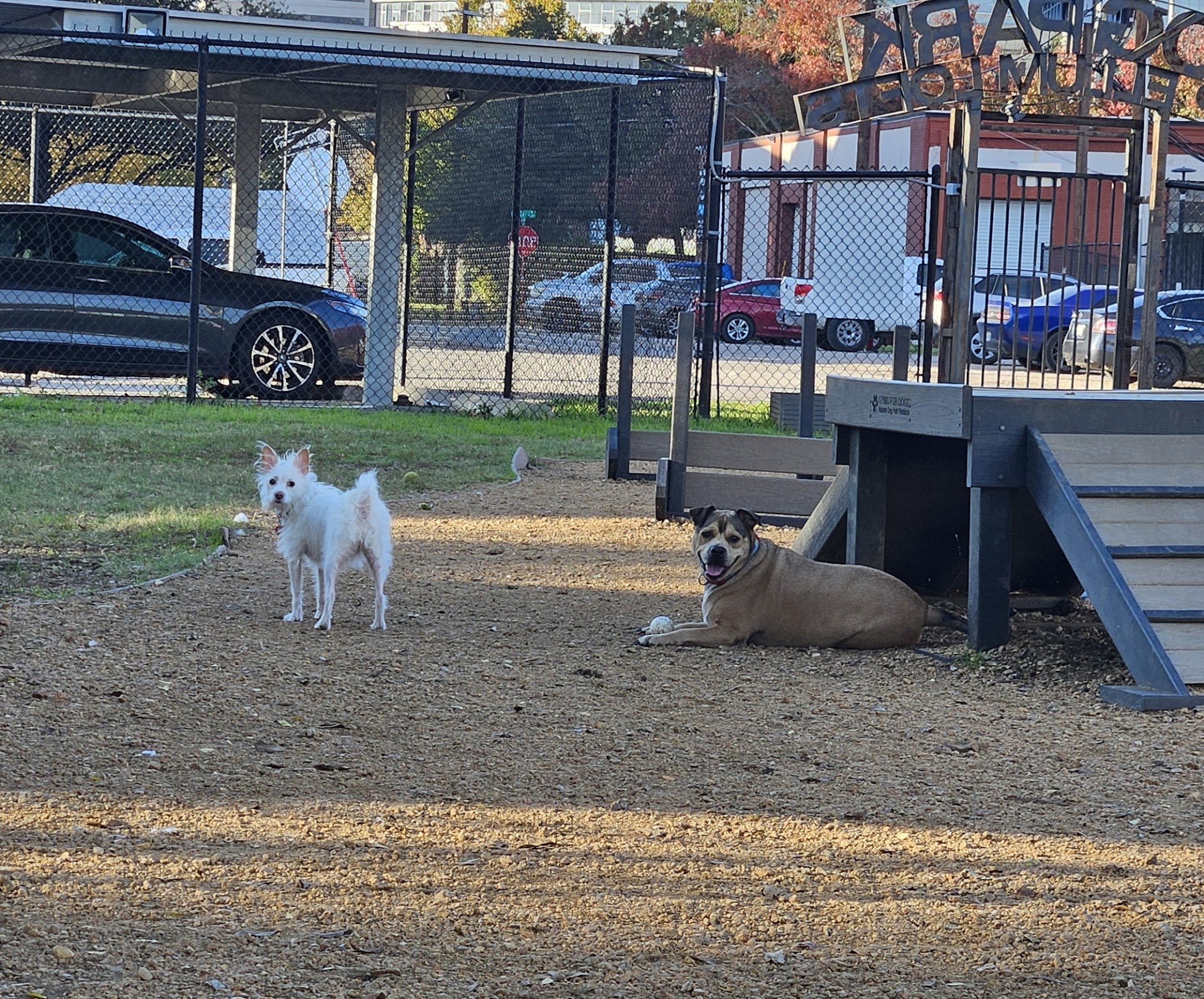 Deep Ellum Lofts Dog Park - Dallas, TX