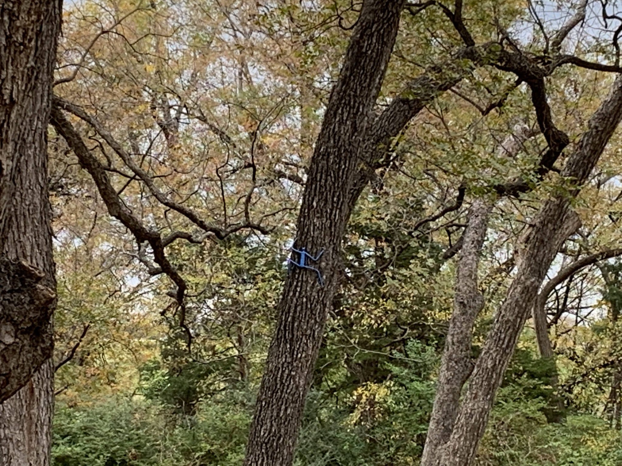 Kessler Parkway Park - Dallas, TX