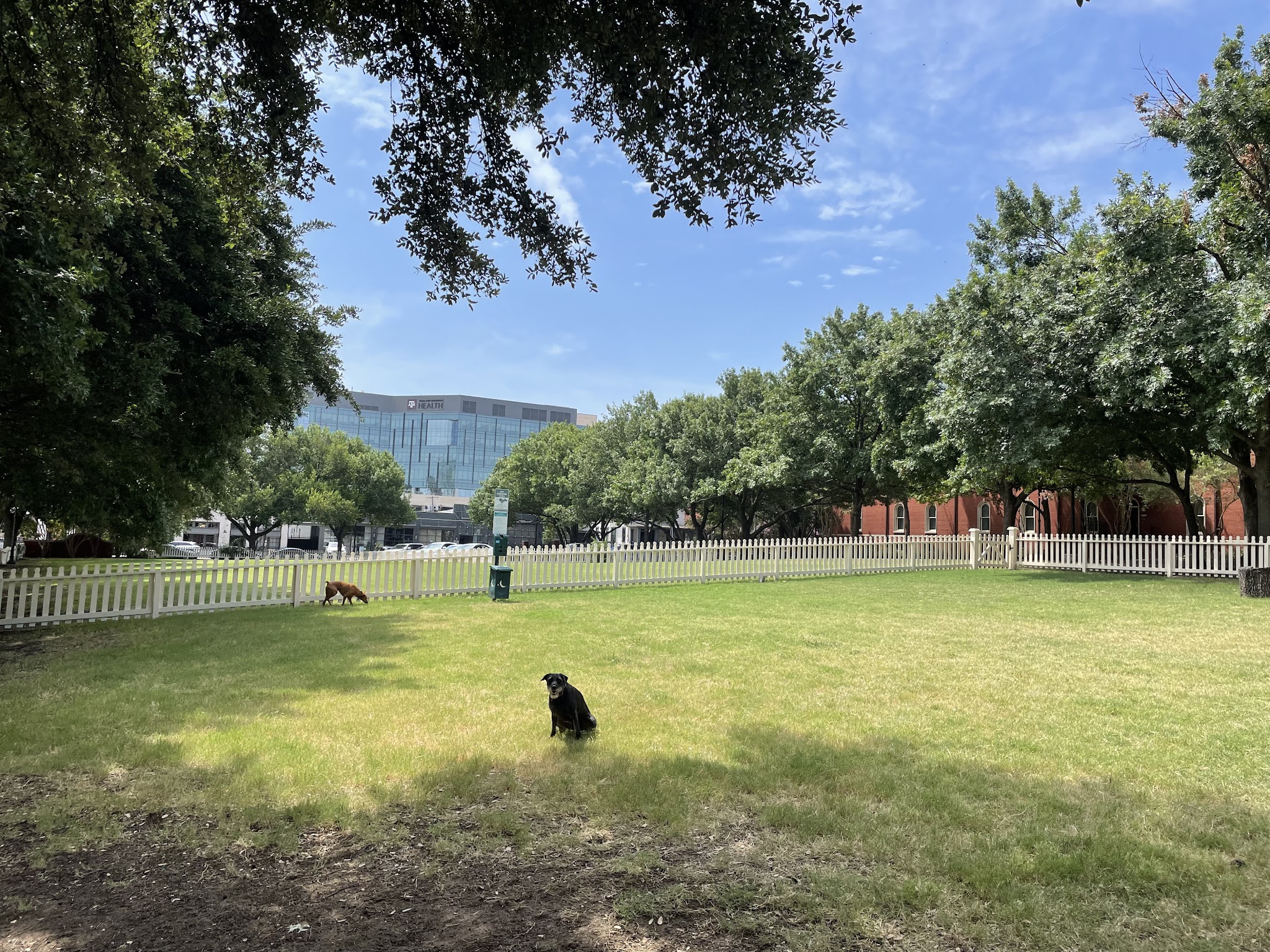 Meadows Dog Park - Dallas, TX