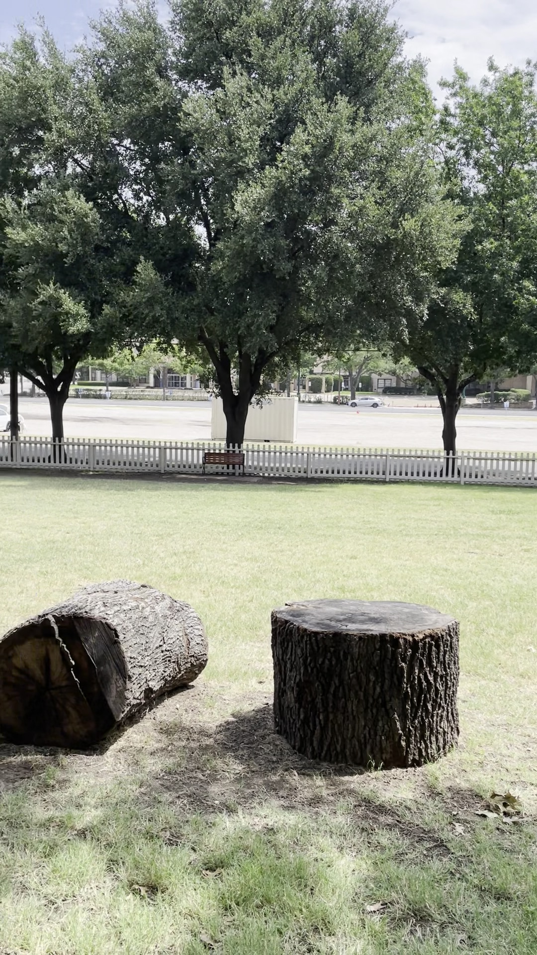 Meadows Dog Park - Dallas, TX