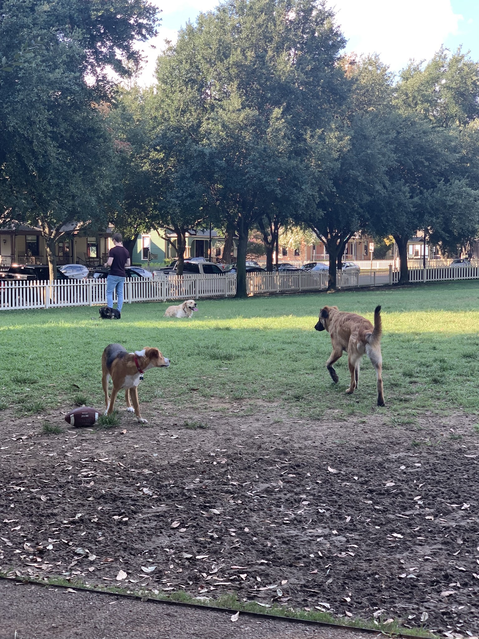 Meadows Dog Park - Dallas, TX
