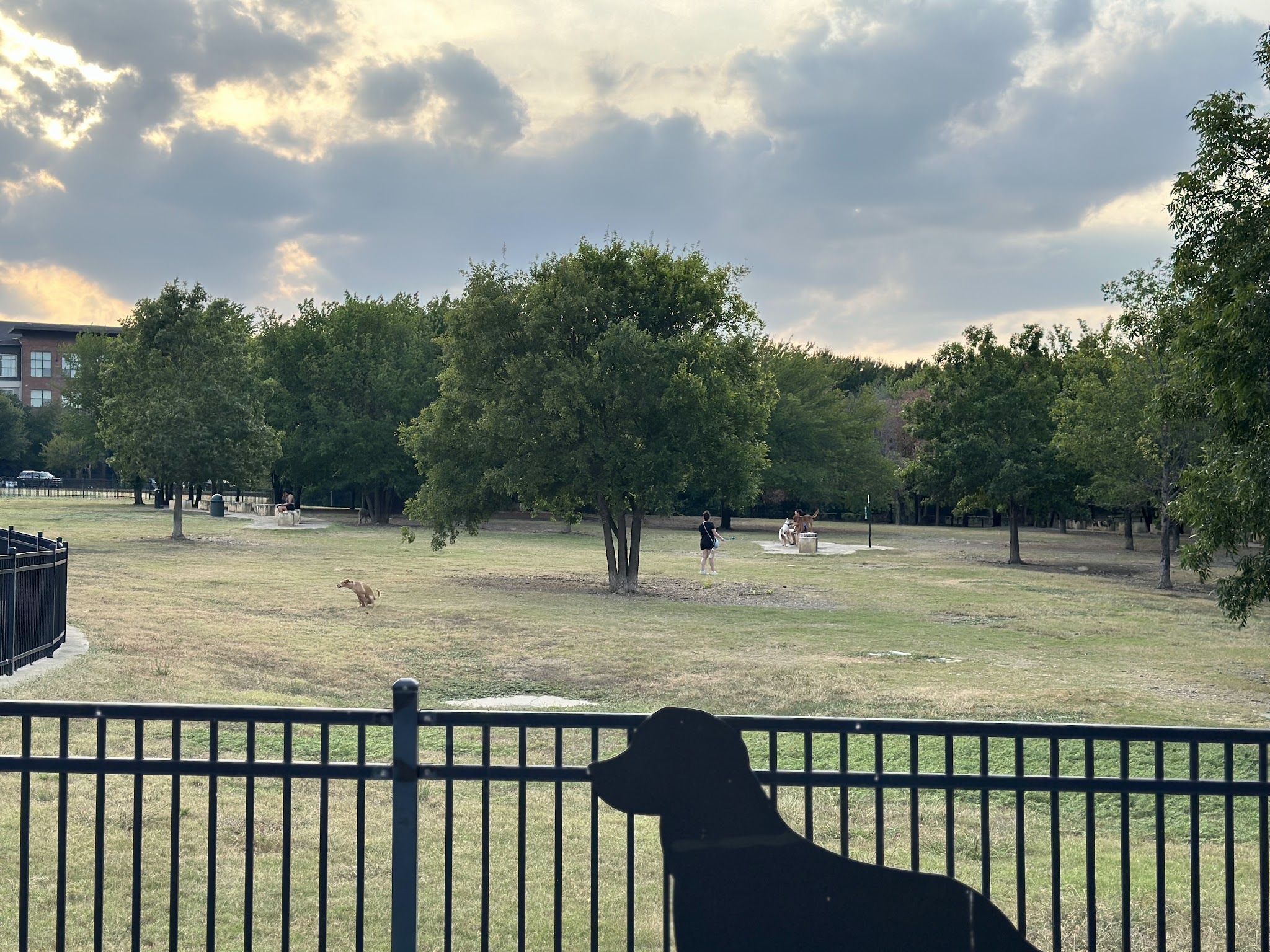NorthBark Dog Park - Dallas, TX