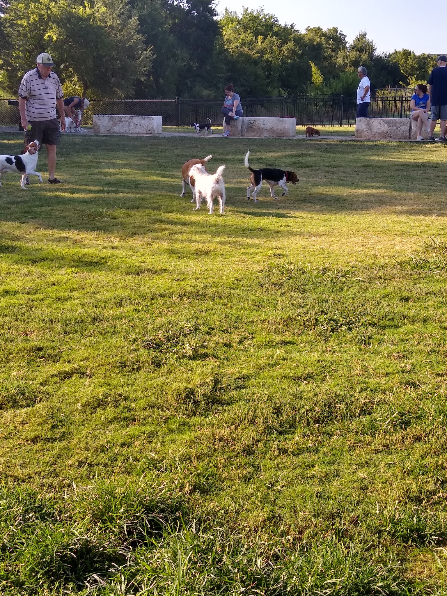 NorthBark Dog Park - Dallas, TX