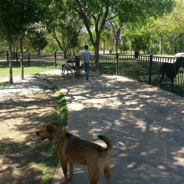 Wagging Tail Dog Park - Dallas, TX