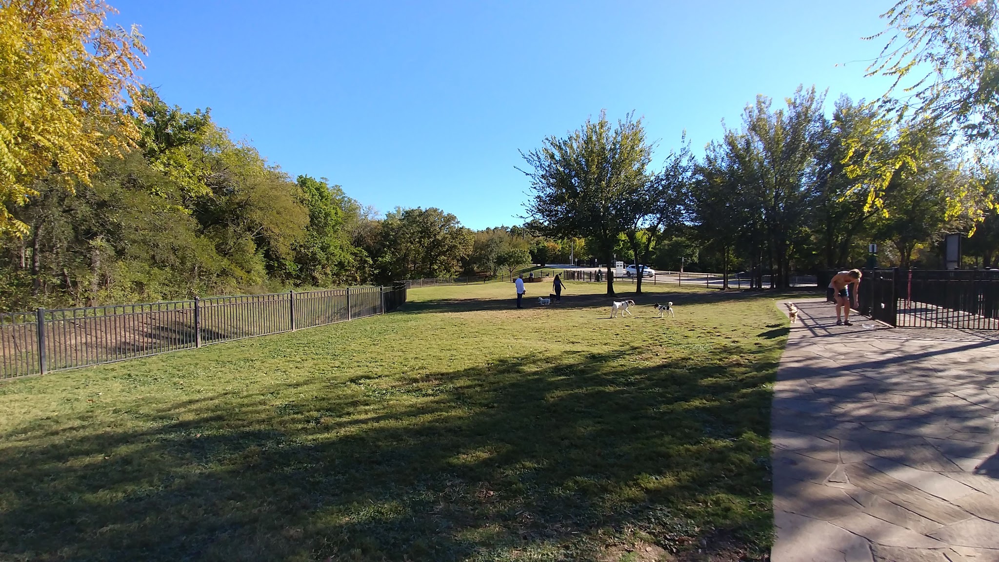 Wagging Tail Dog Park - Dallas, TX
