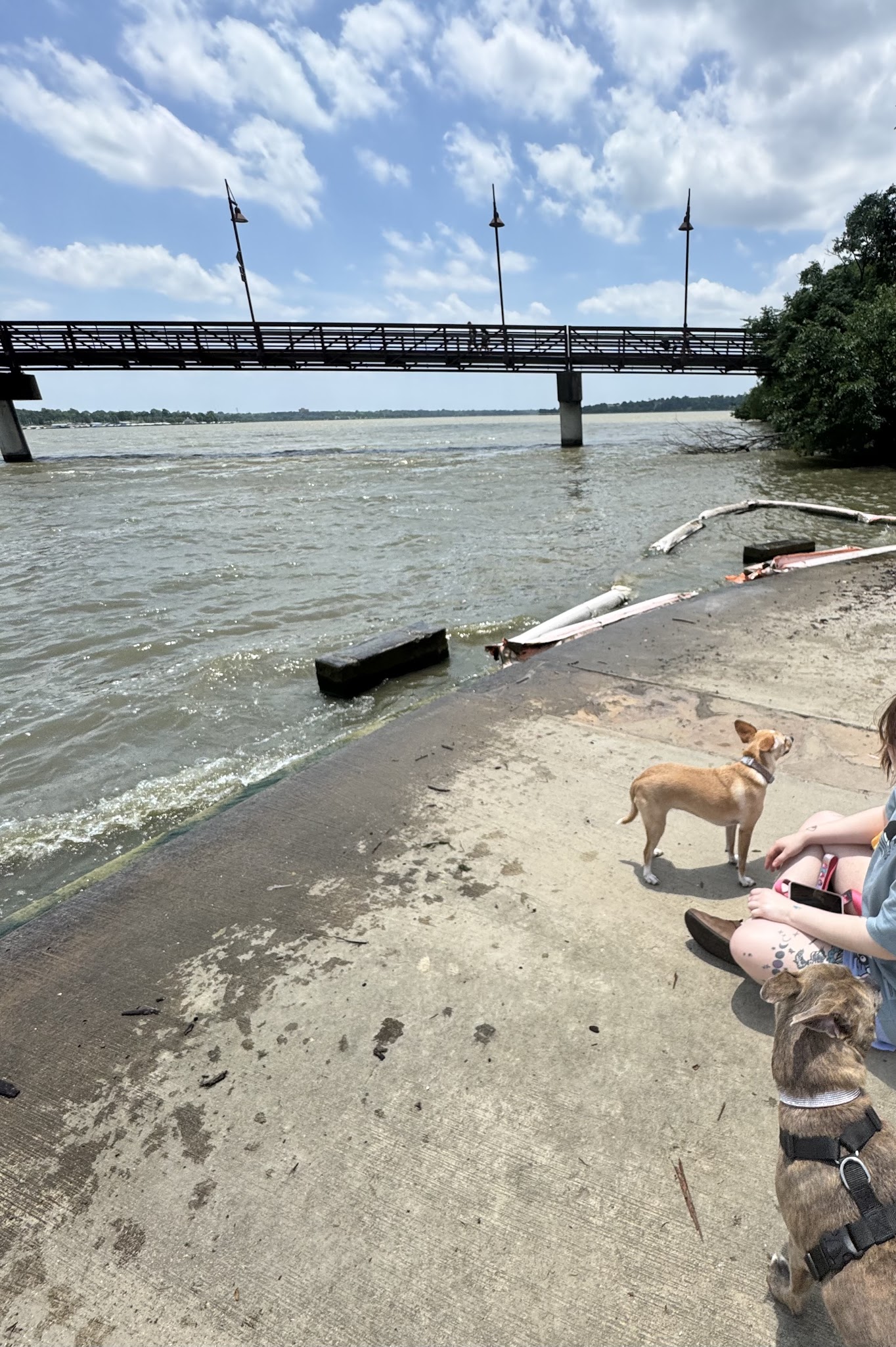 White Rock Lake Dog Park - Dallas, TX