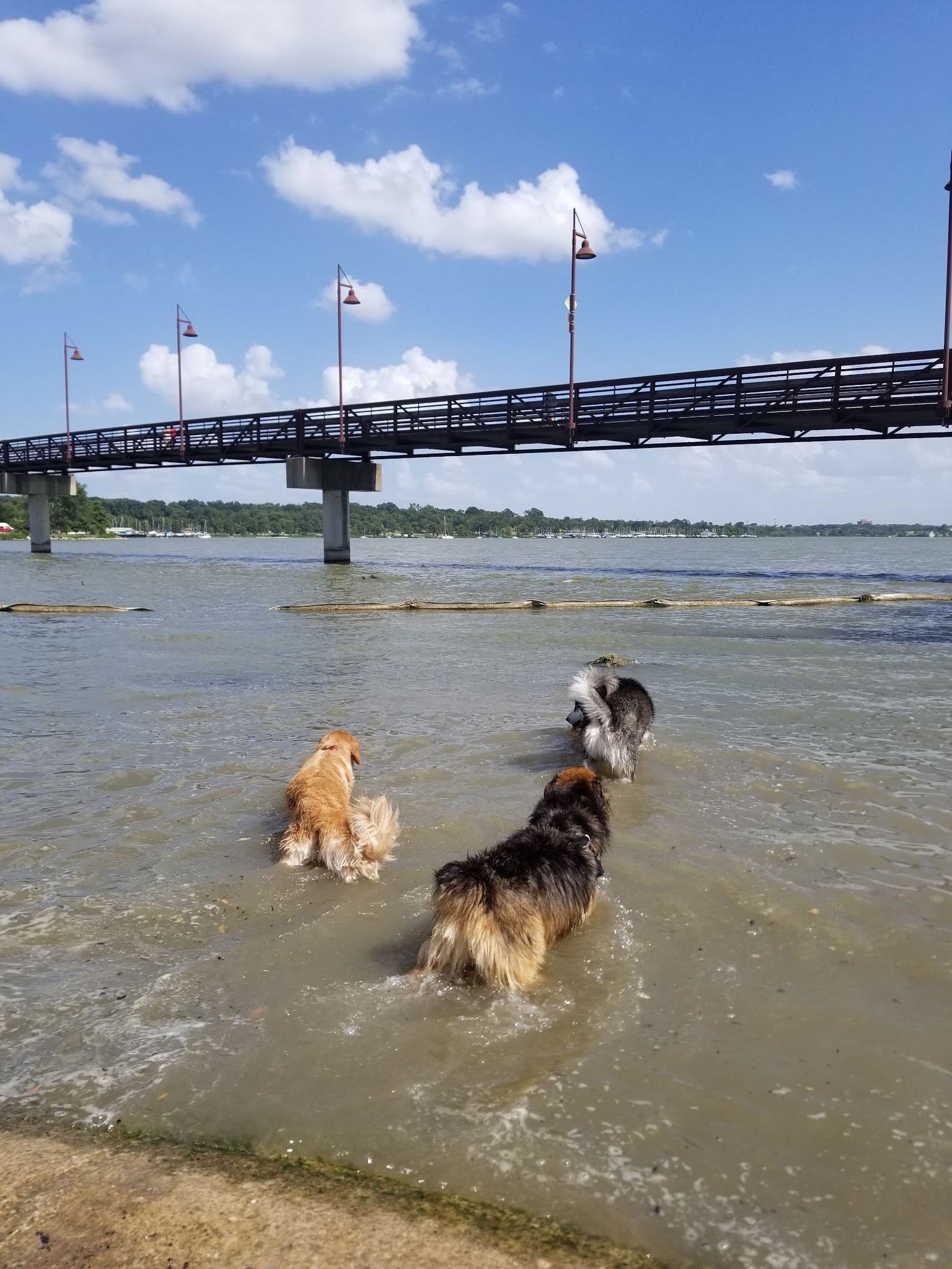 White Rock Lake Dog Park - Dallas, TX